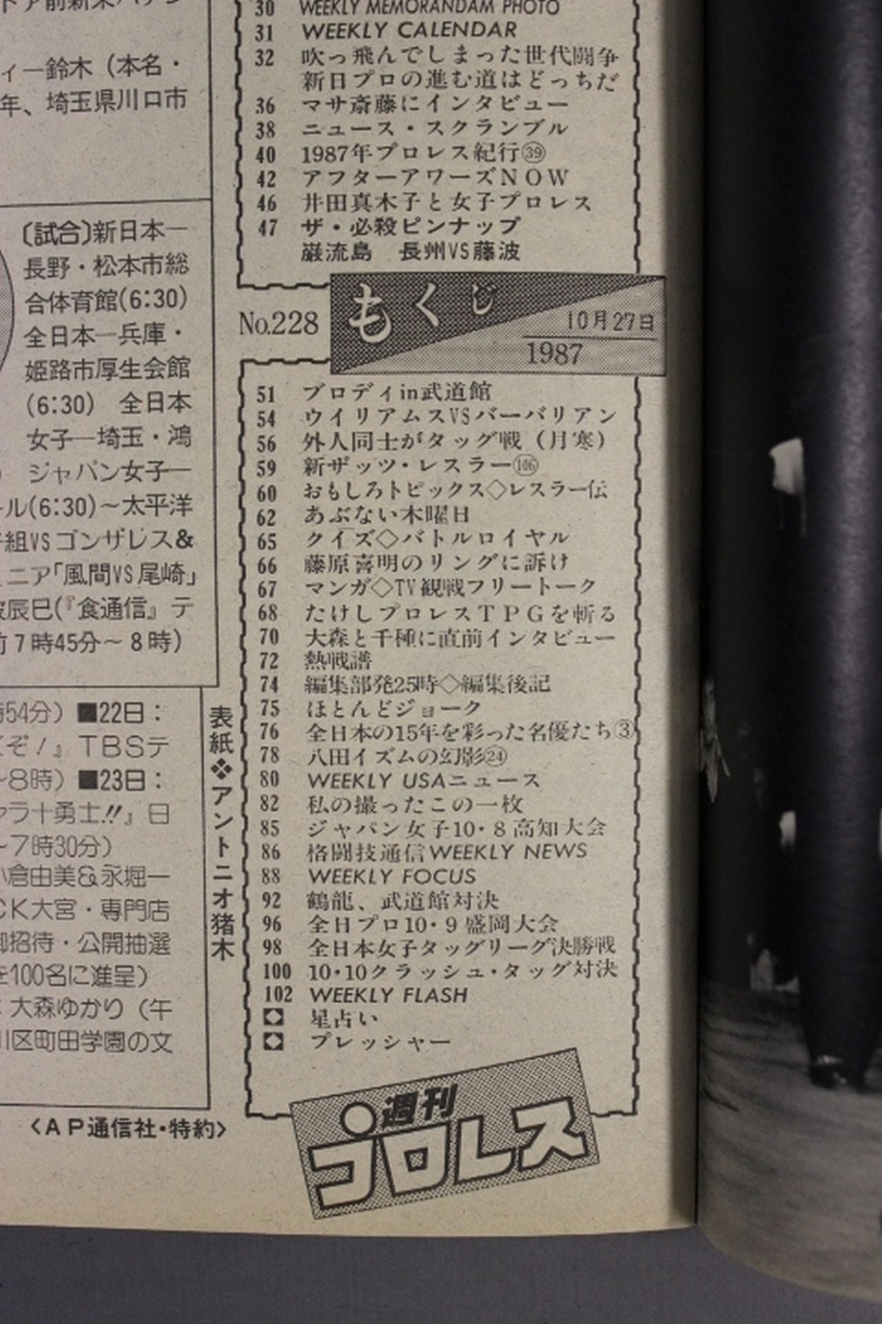 Weekly Pro Wrestling 228