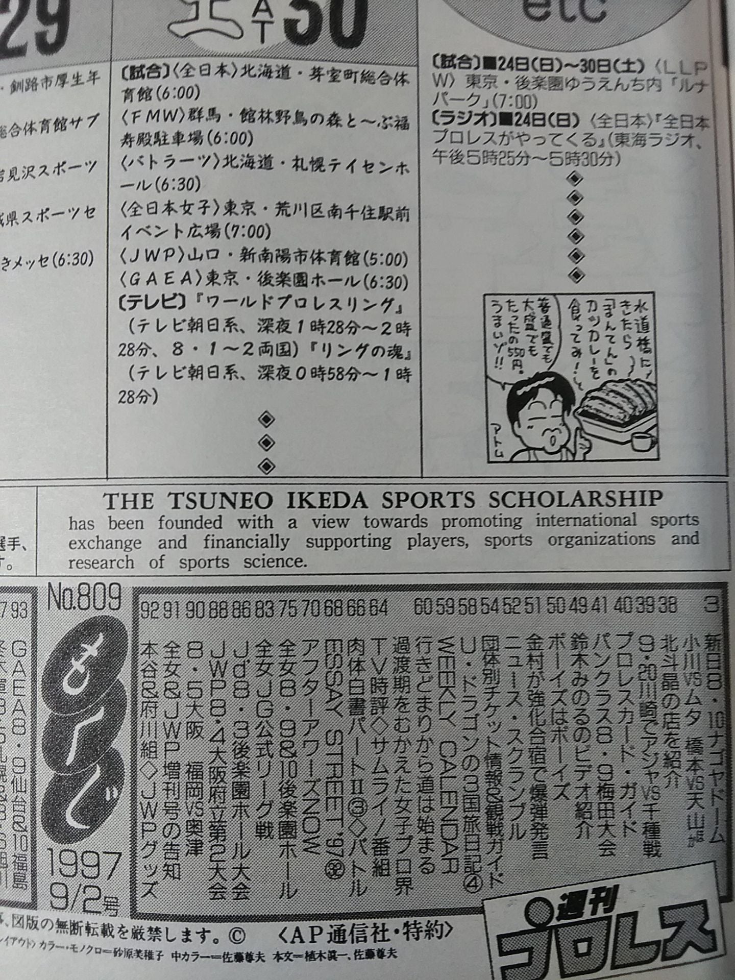 Weekly Pro Wrestling 809