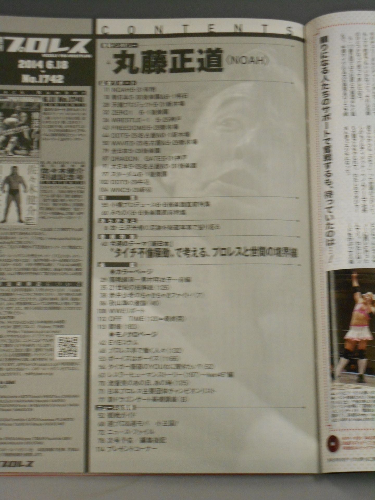 Weekly Pro Wrestling 1742