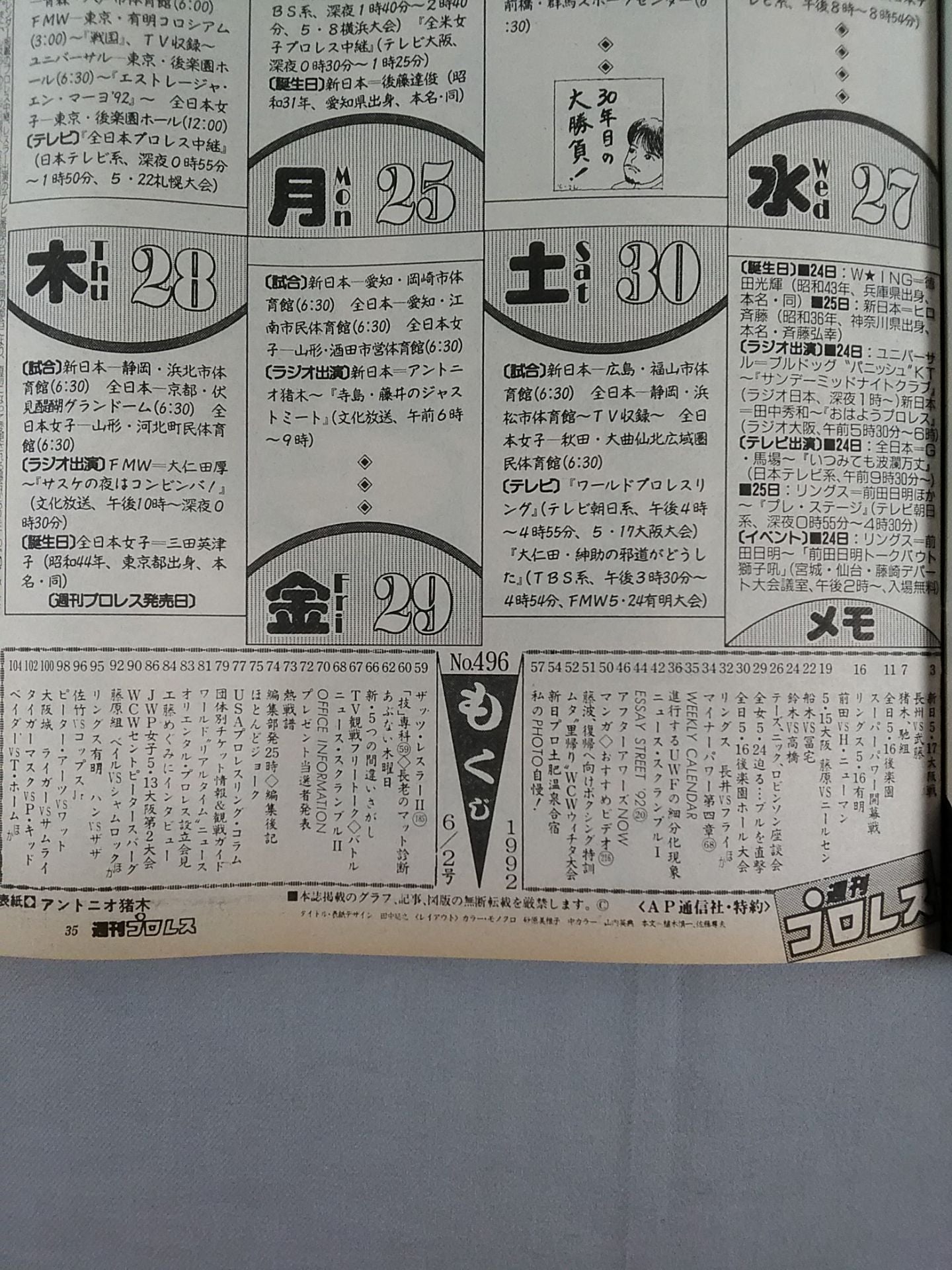 Weekly Pro Wrestling 496