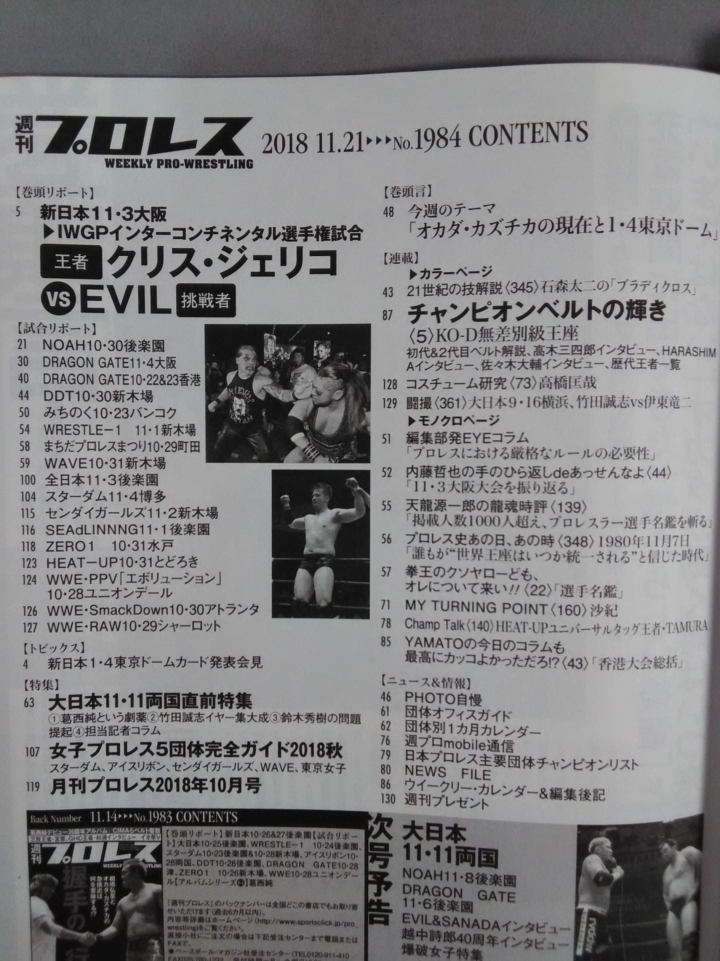 Weekly Pro Wrestling 1984
