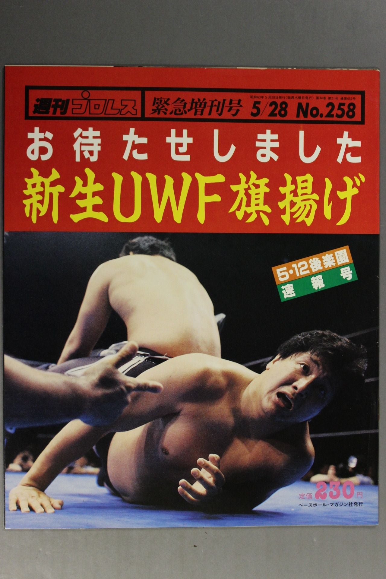 Weekly Pro Wrestling 258