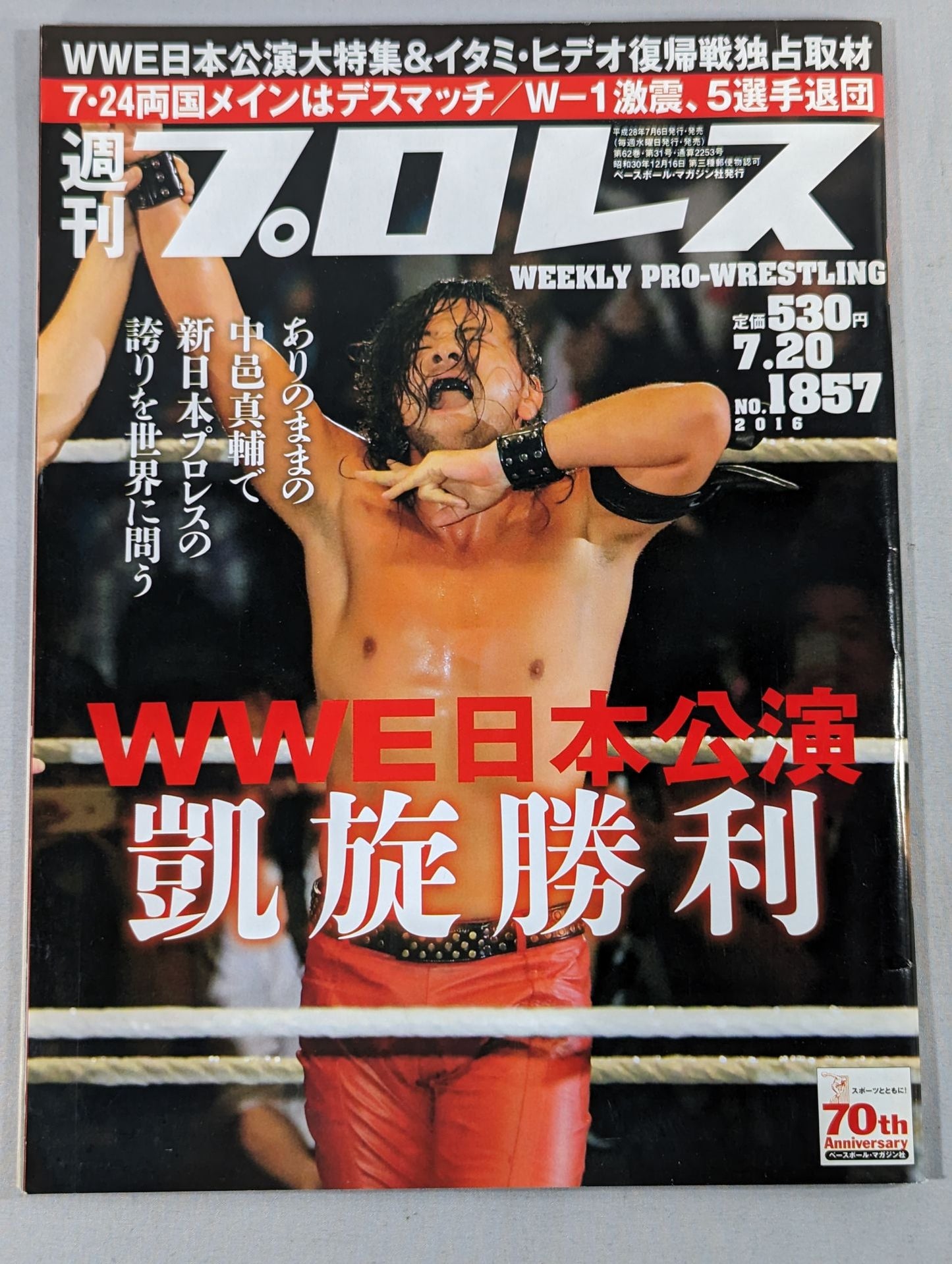 Weekly Pro Wrestling 1857