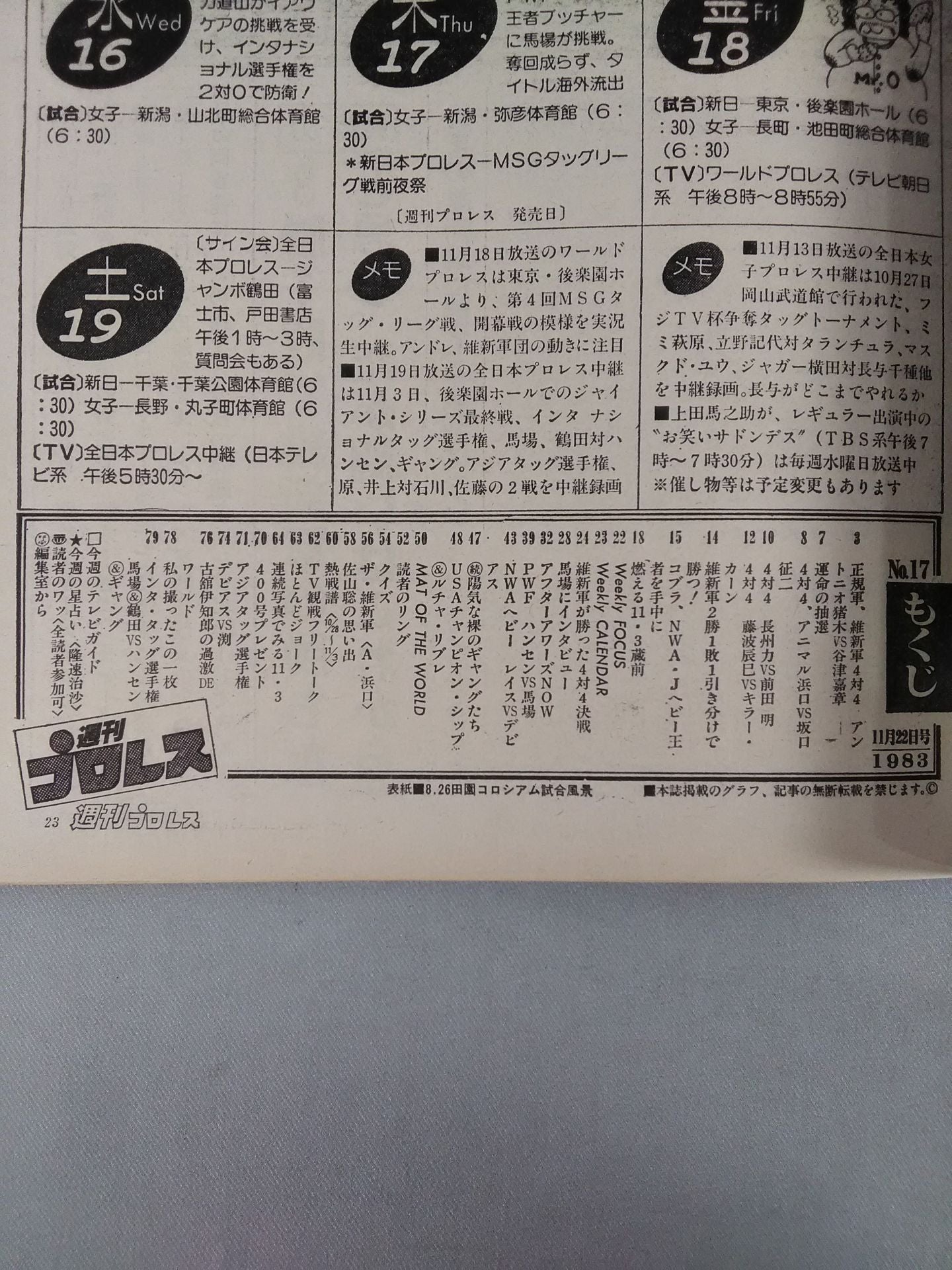 Weekly Pro Wrestling 17