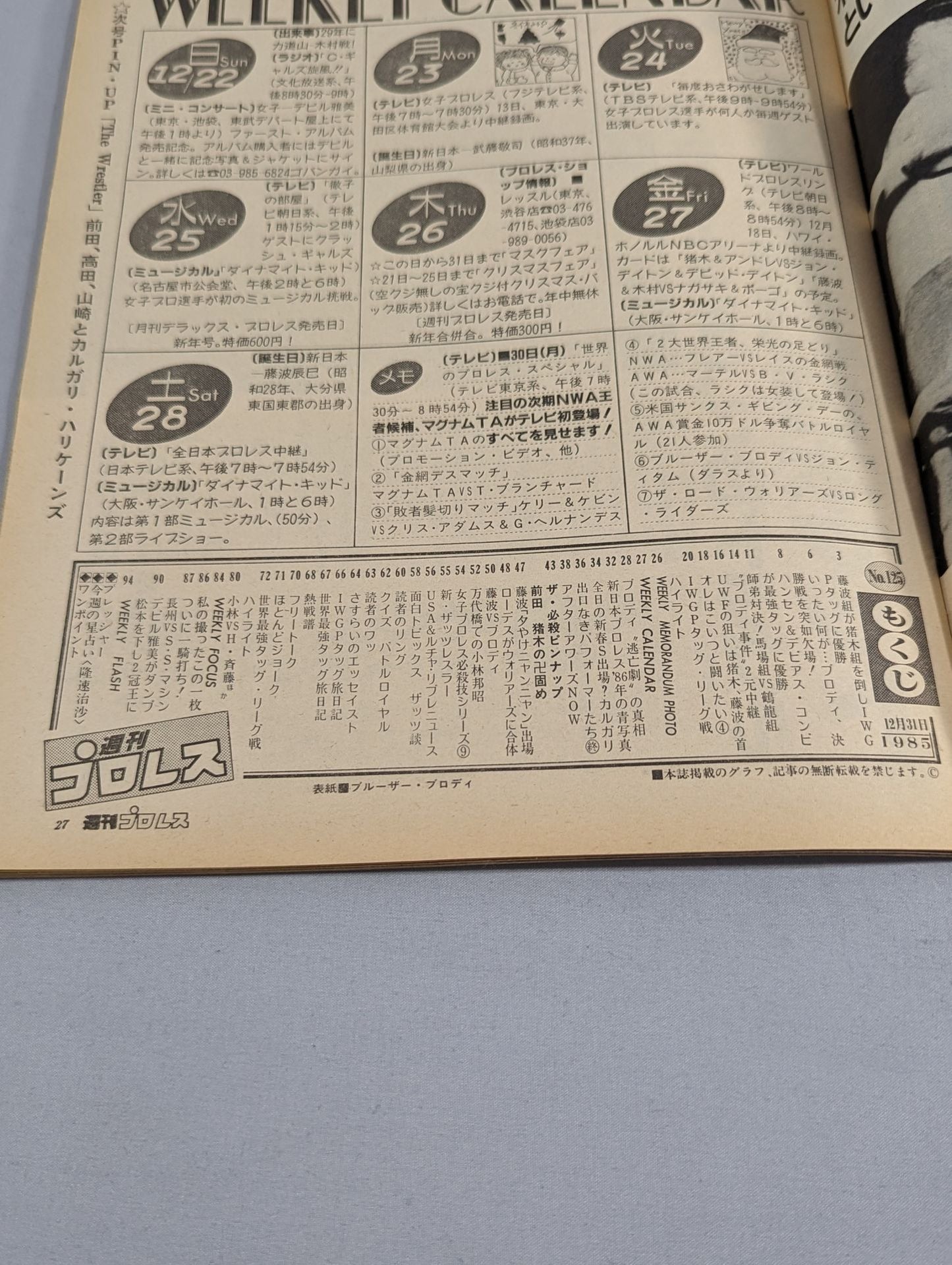 Weekly Pro Wrestling 125