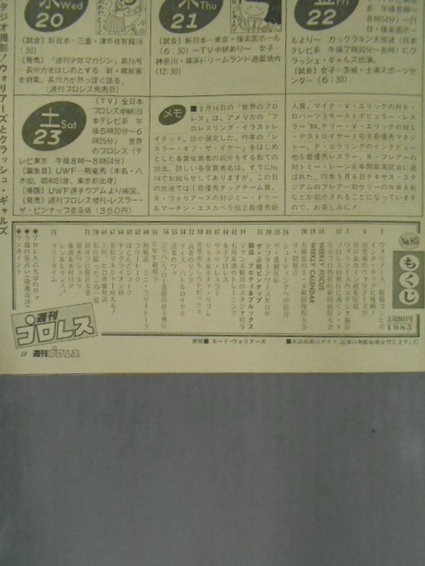 Weekly Pro Wrestling 85