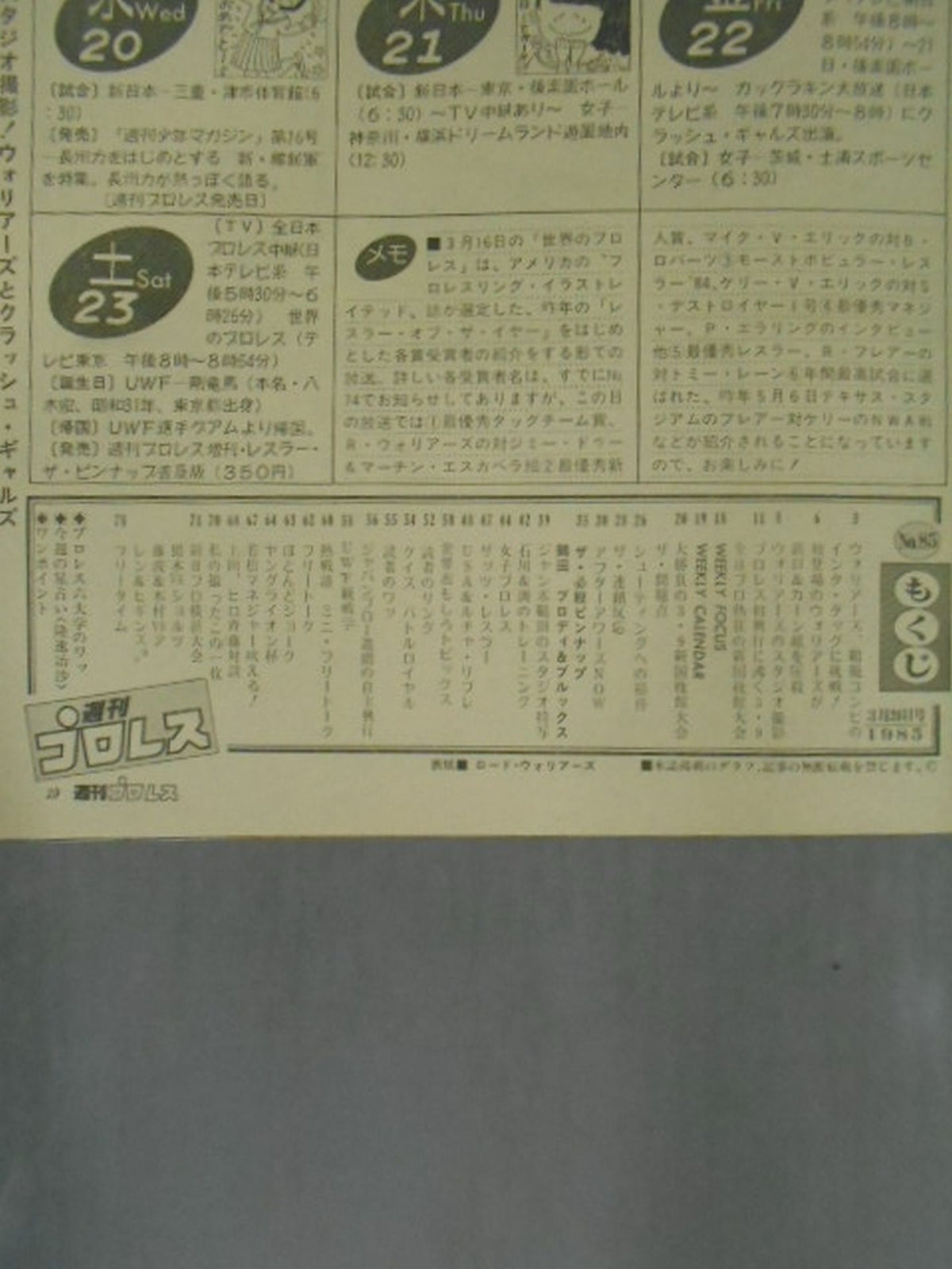 Weekly Pro Wrestling 85