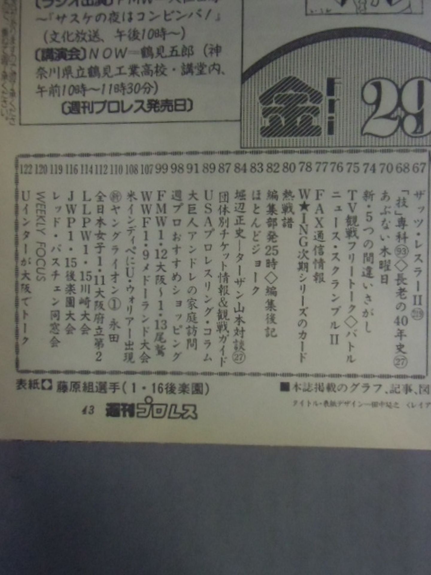 Weekly Pro Wrestling 534