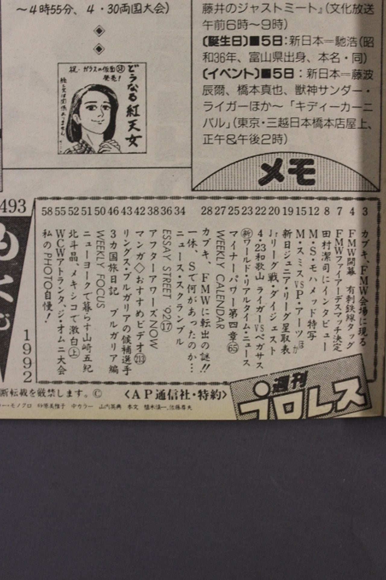 Weekly Pro Wrestling 493