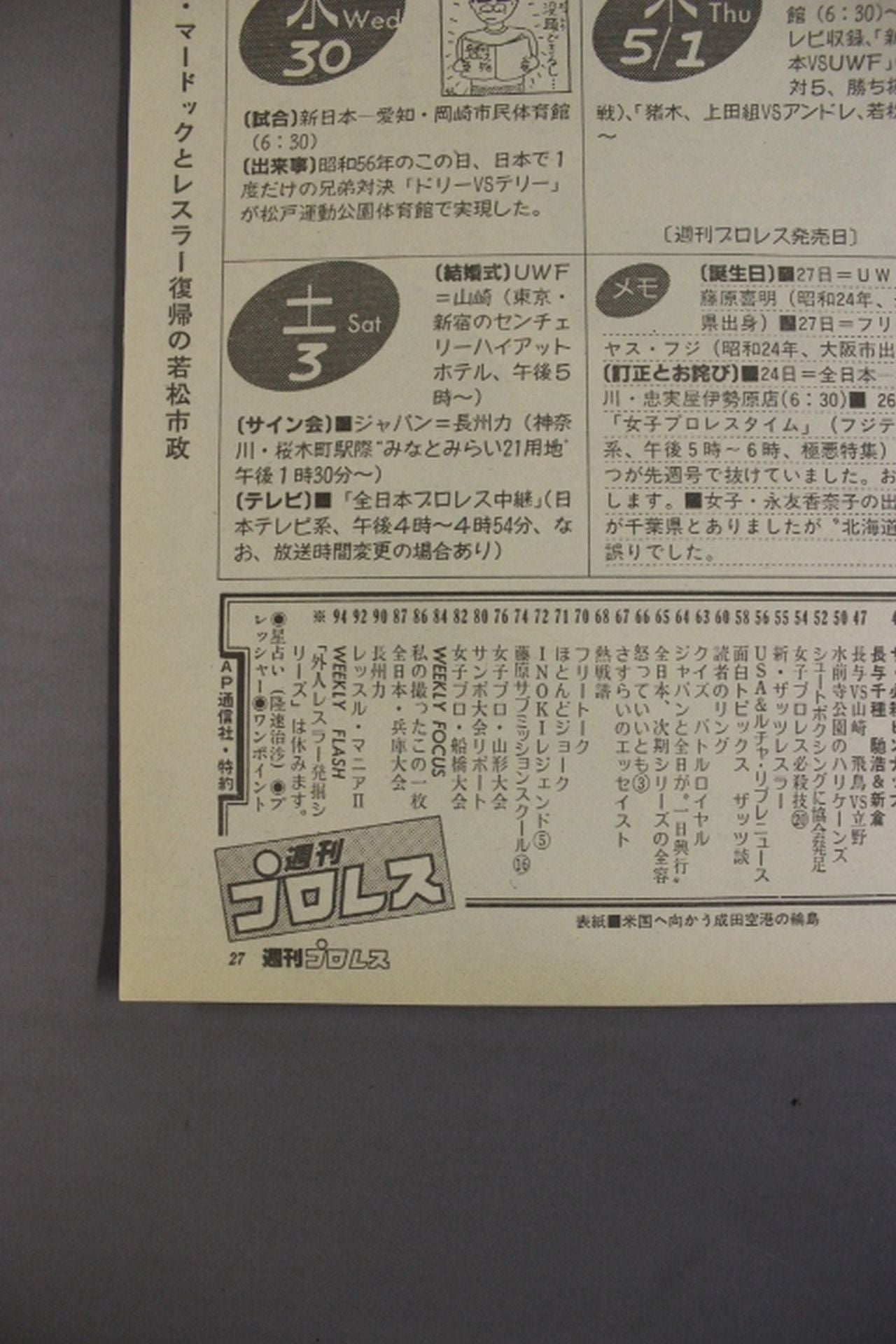 Weekly Pro Wrestling 142