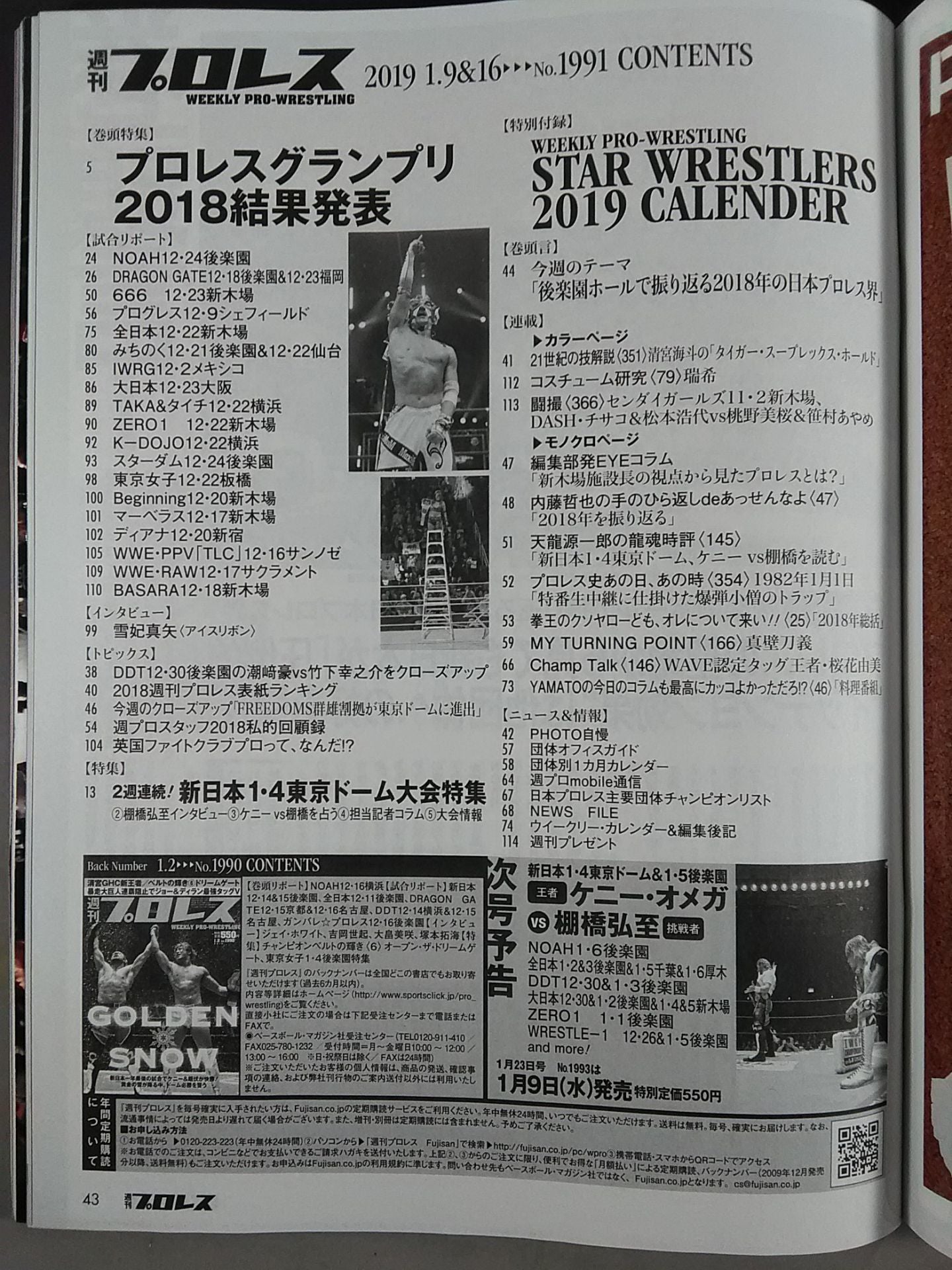 Weekly Pro Wrestling 1991