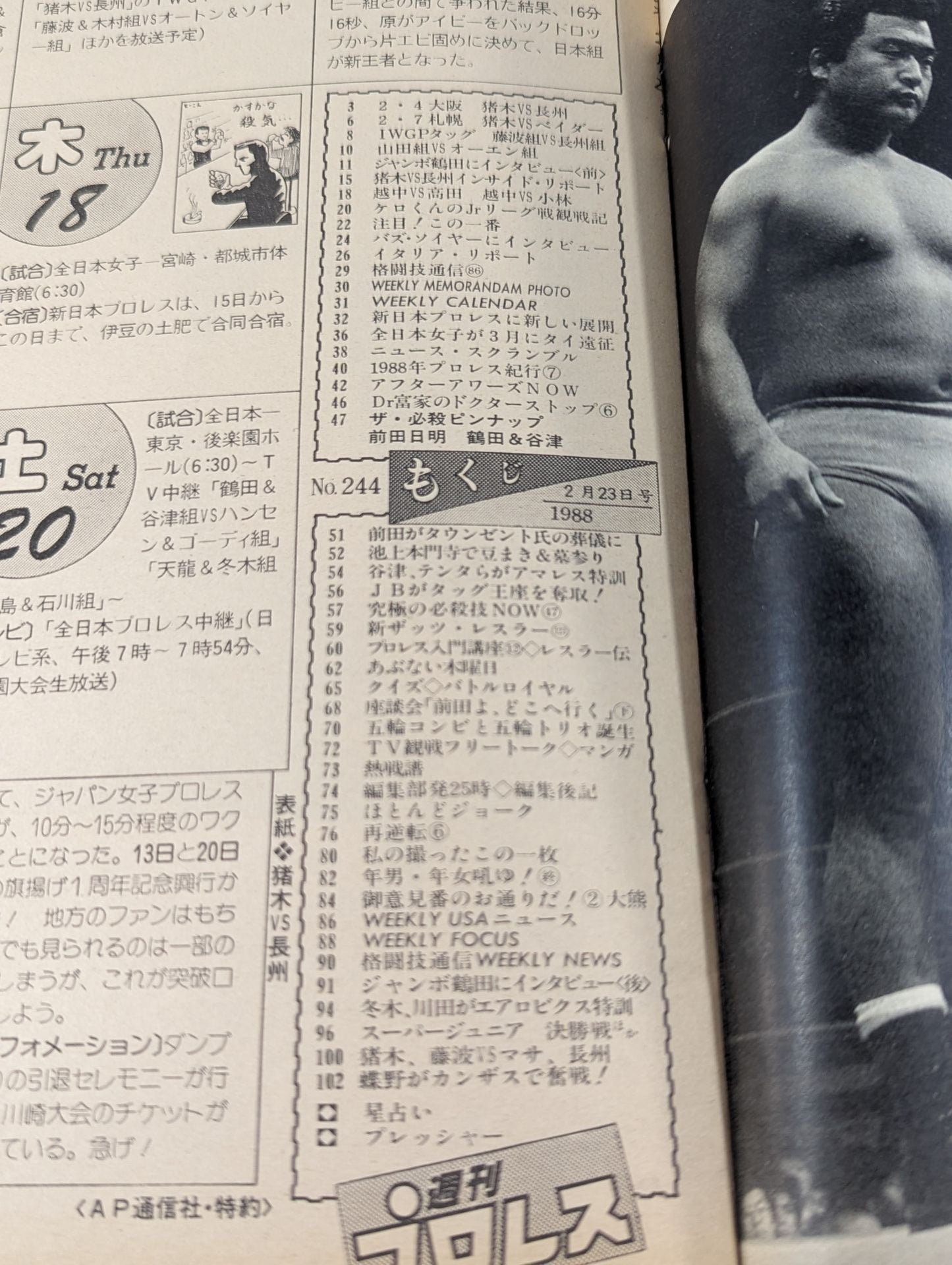 Weekly Pro Wrestling 244