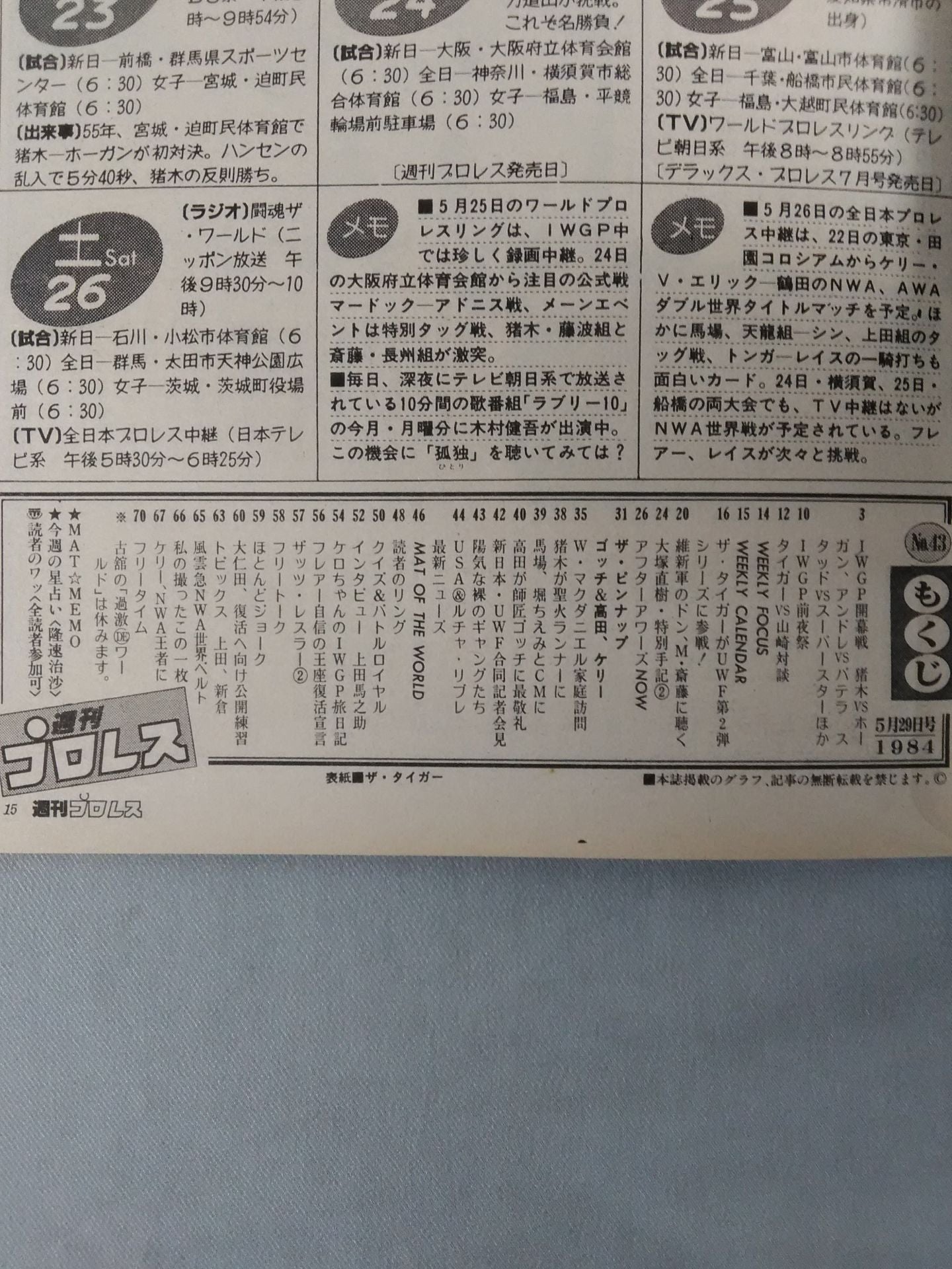 Weekly Pro Wrestling 43