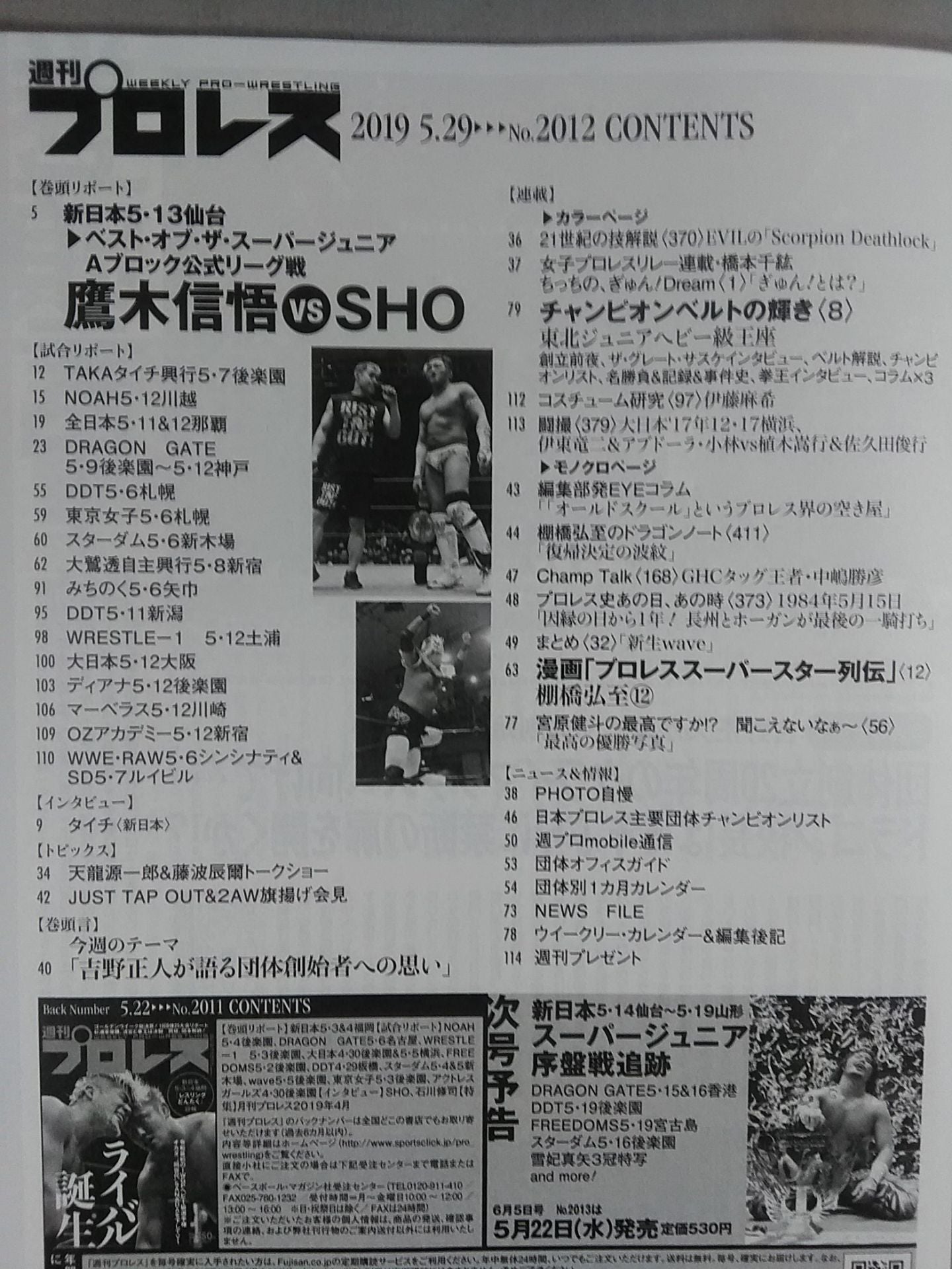 週刊プロレス2012