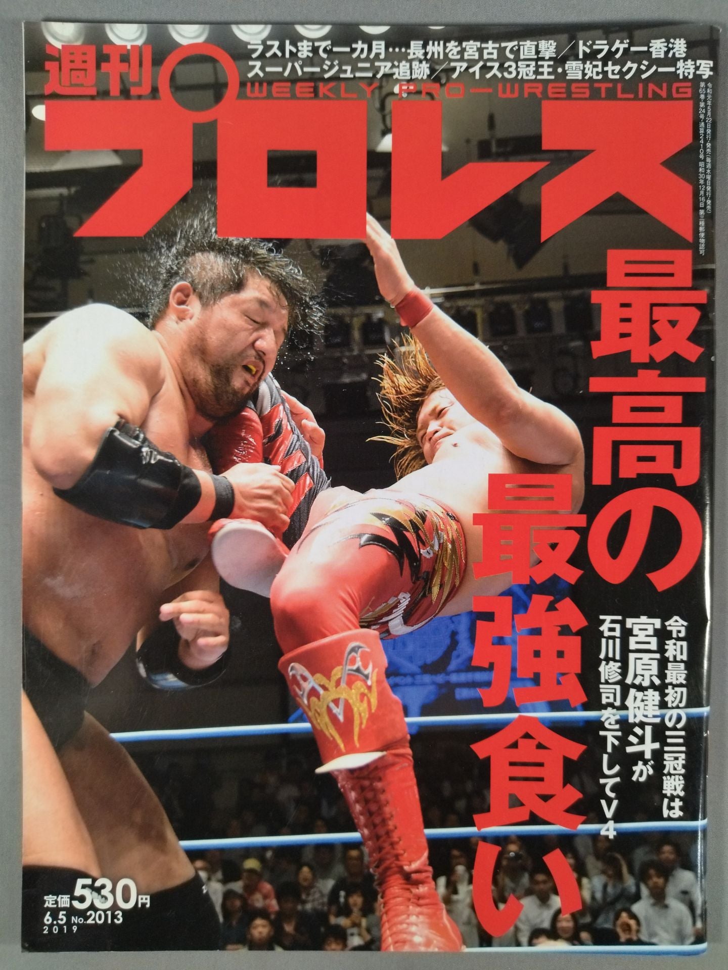 週刊プロレス2013