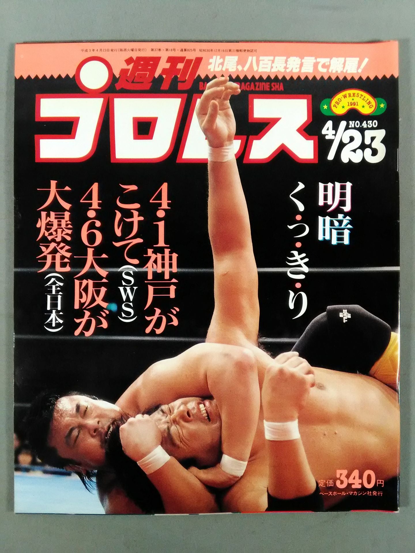 Weekly Pro Wrestling 430