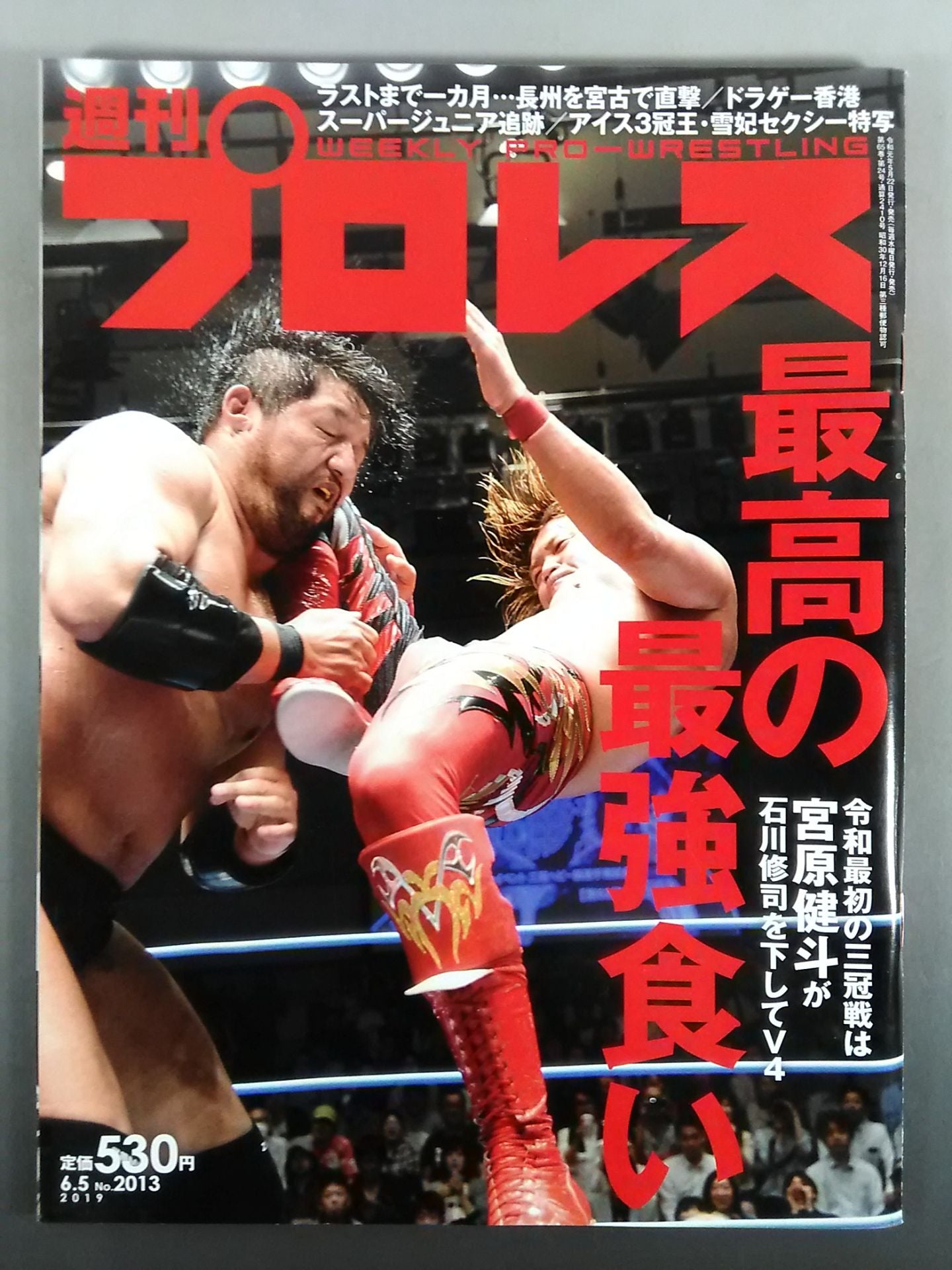 週刊プロレス2013