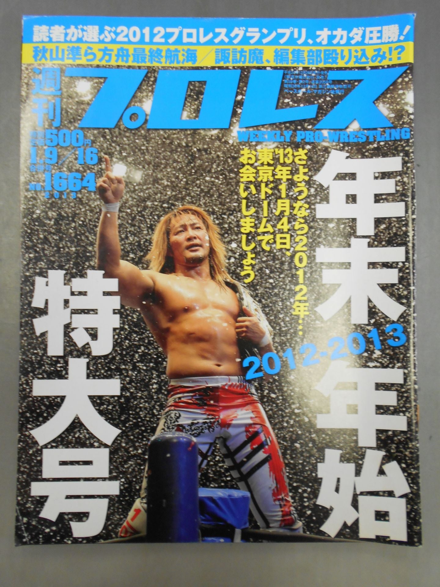 Weekly Pro Wrestling 1664