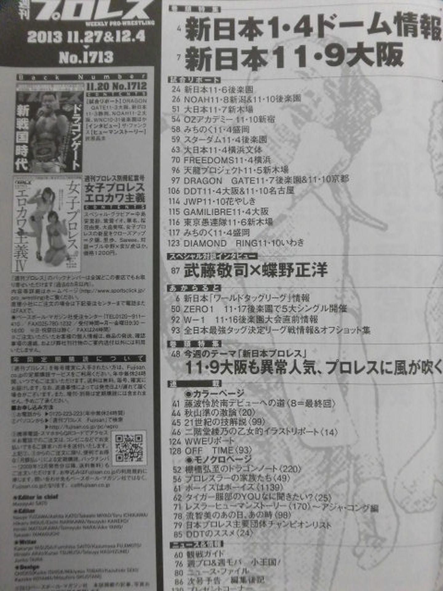 Weekly Pro Wrestling 1713