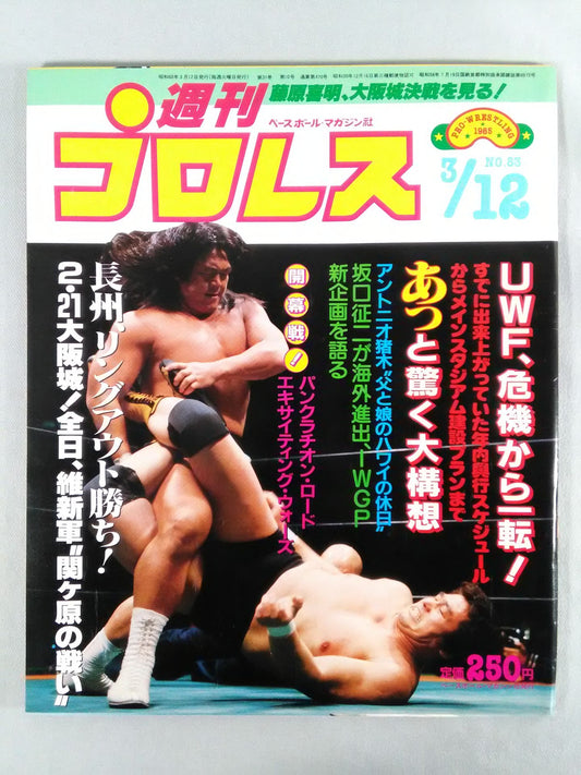 Weekly Pro Wrestling 83