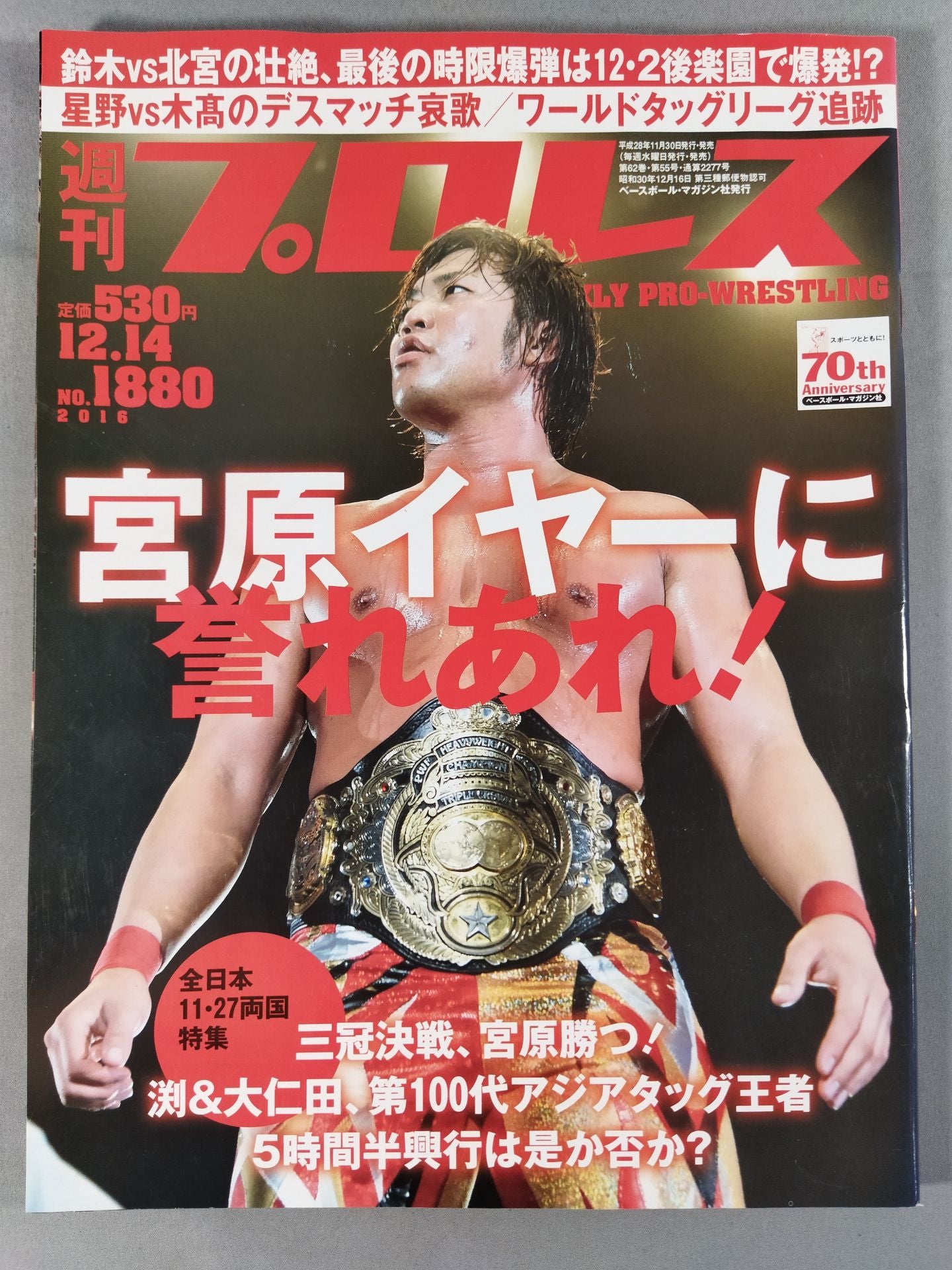 Weekly Pro Wrestling 1880