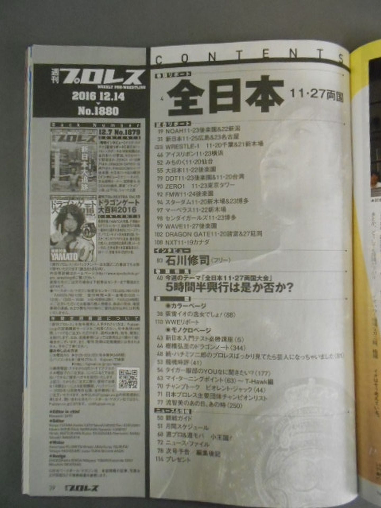 Weekly Pro Wrestling 1880