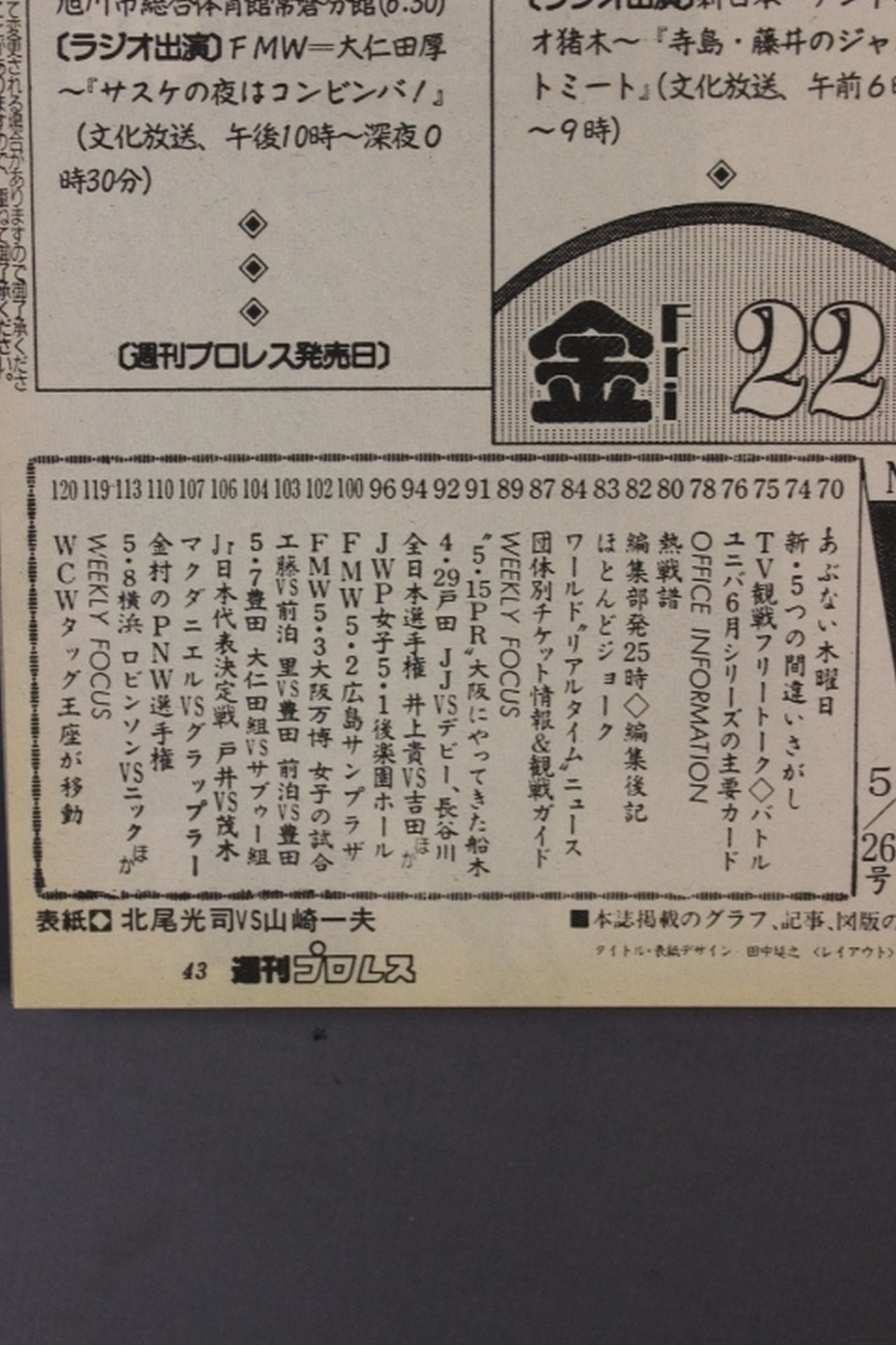 Weekly Pro Wrestling 495