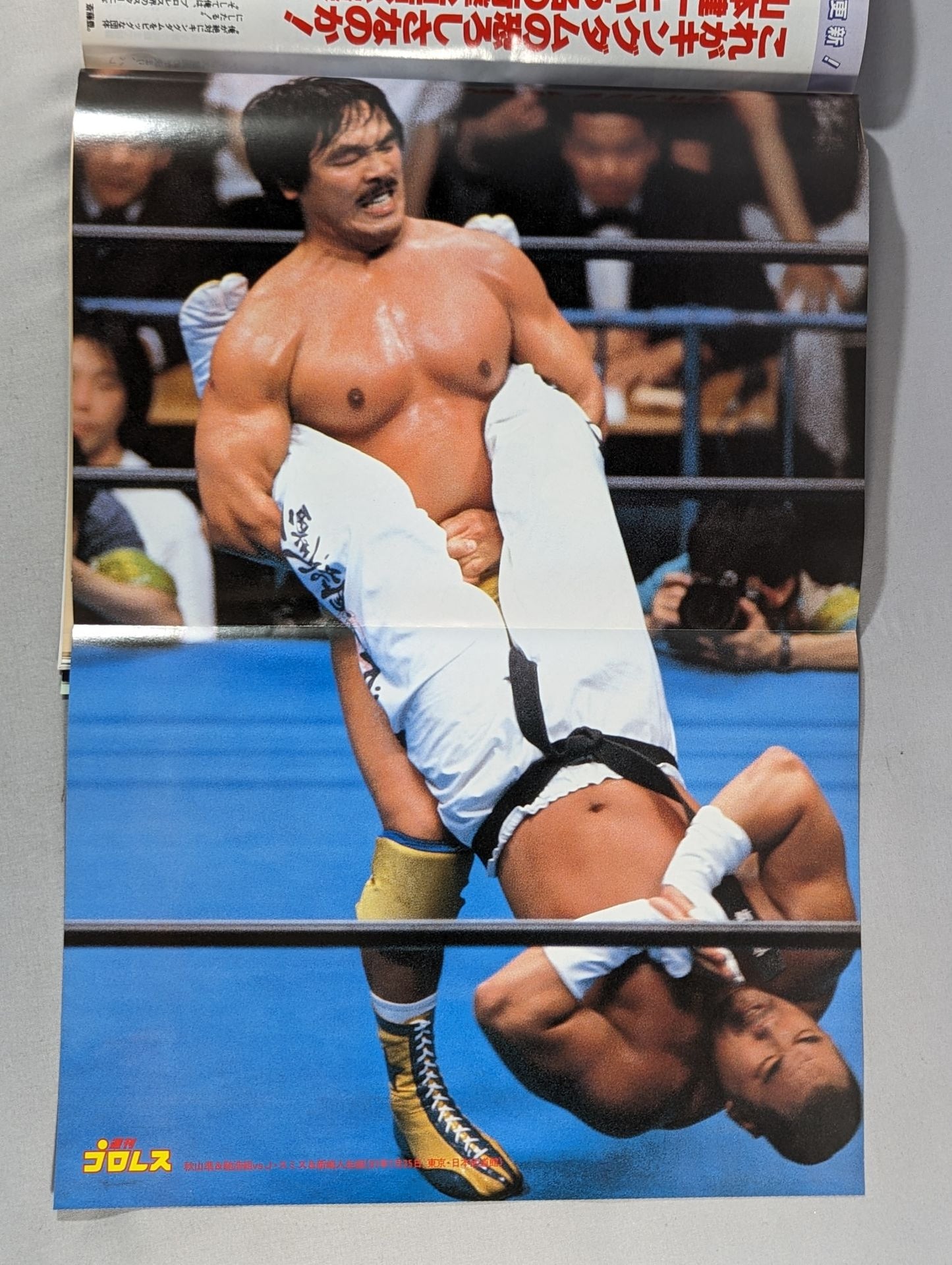 Weekly Pro Wrestling 808