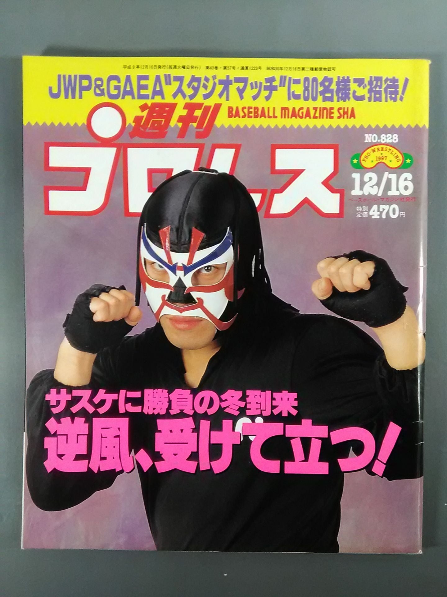 Weekly Pro Wrestling 828