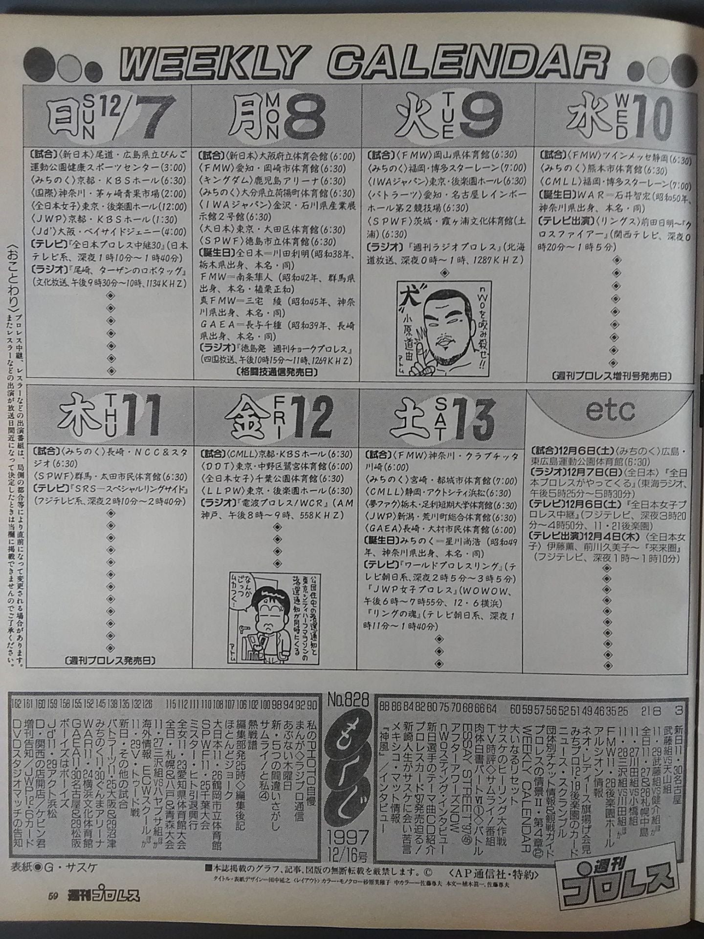 Weekly Pro Wrestling 828