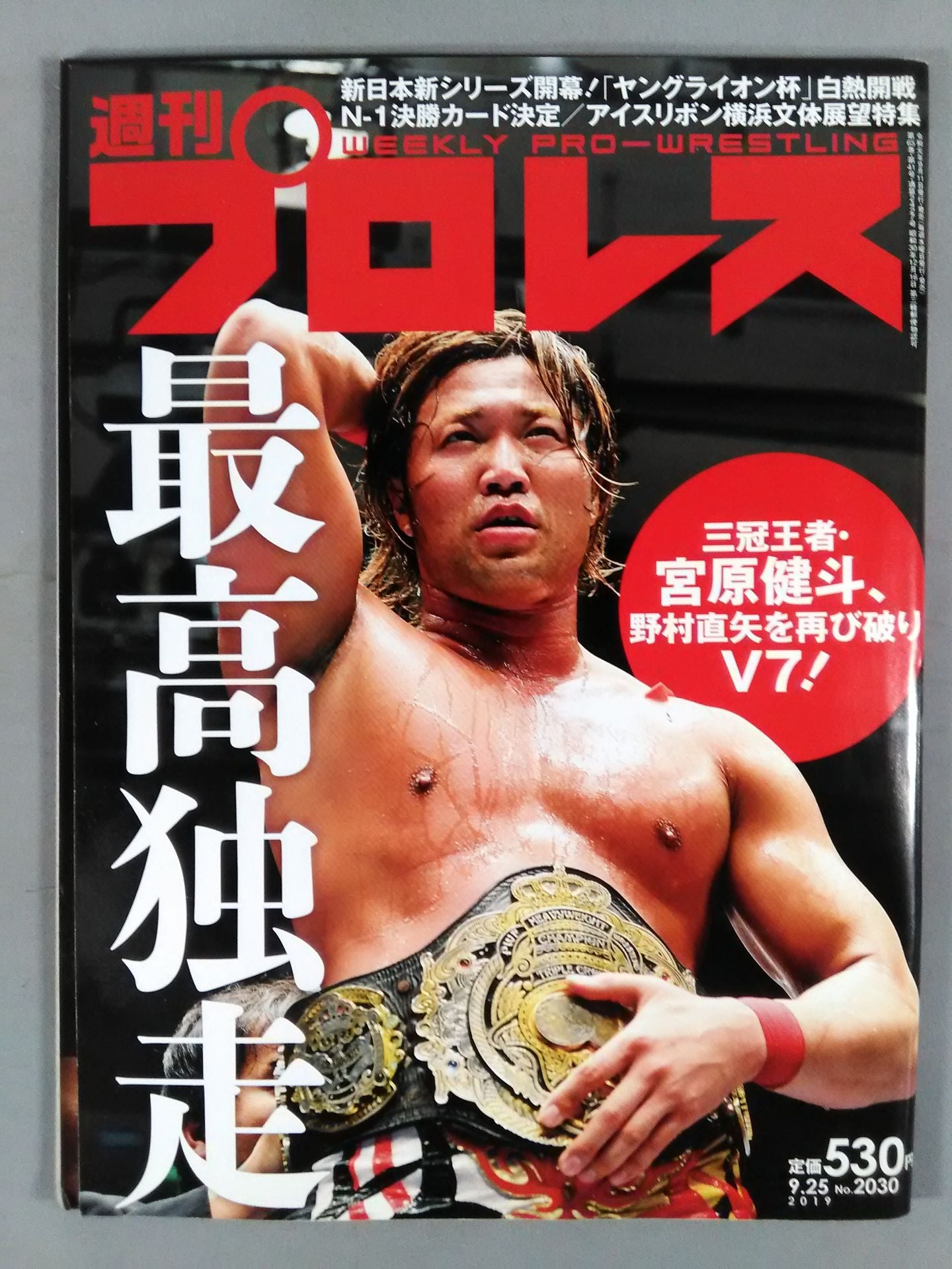 Weekly Pro Wrestling 2030