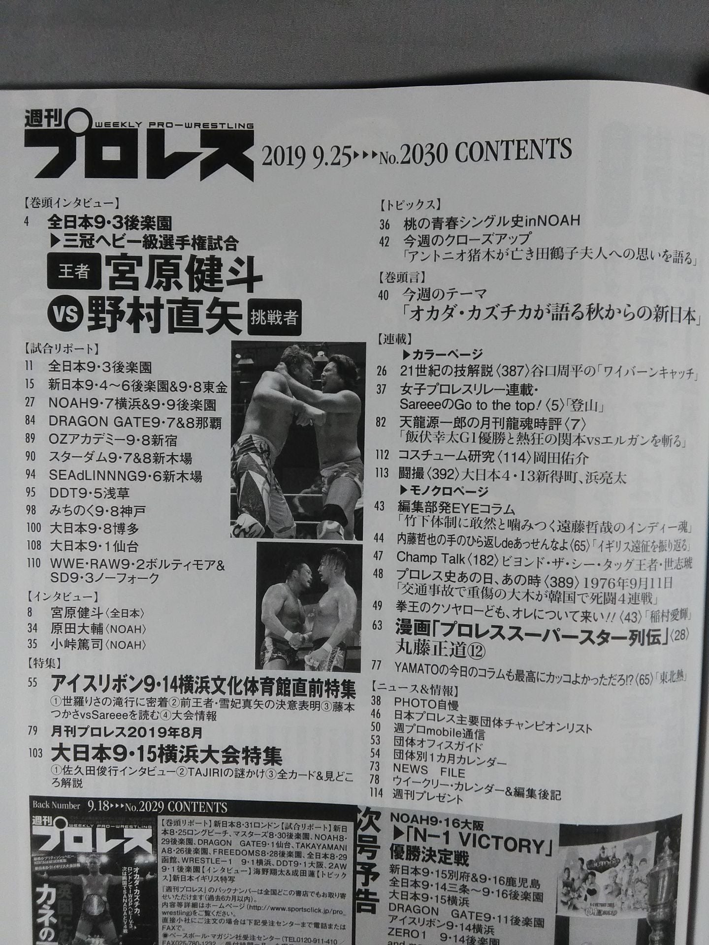 Weekly Pro Wrestling 2030