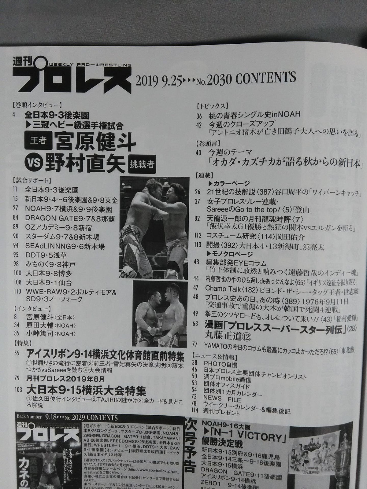 週刊プロレス2030
