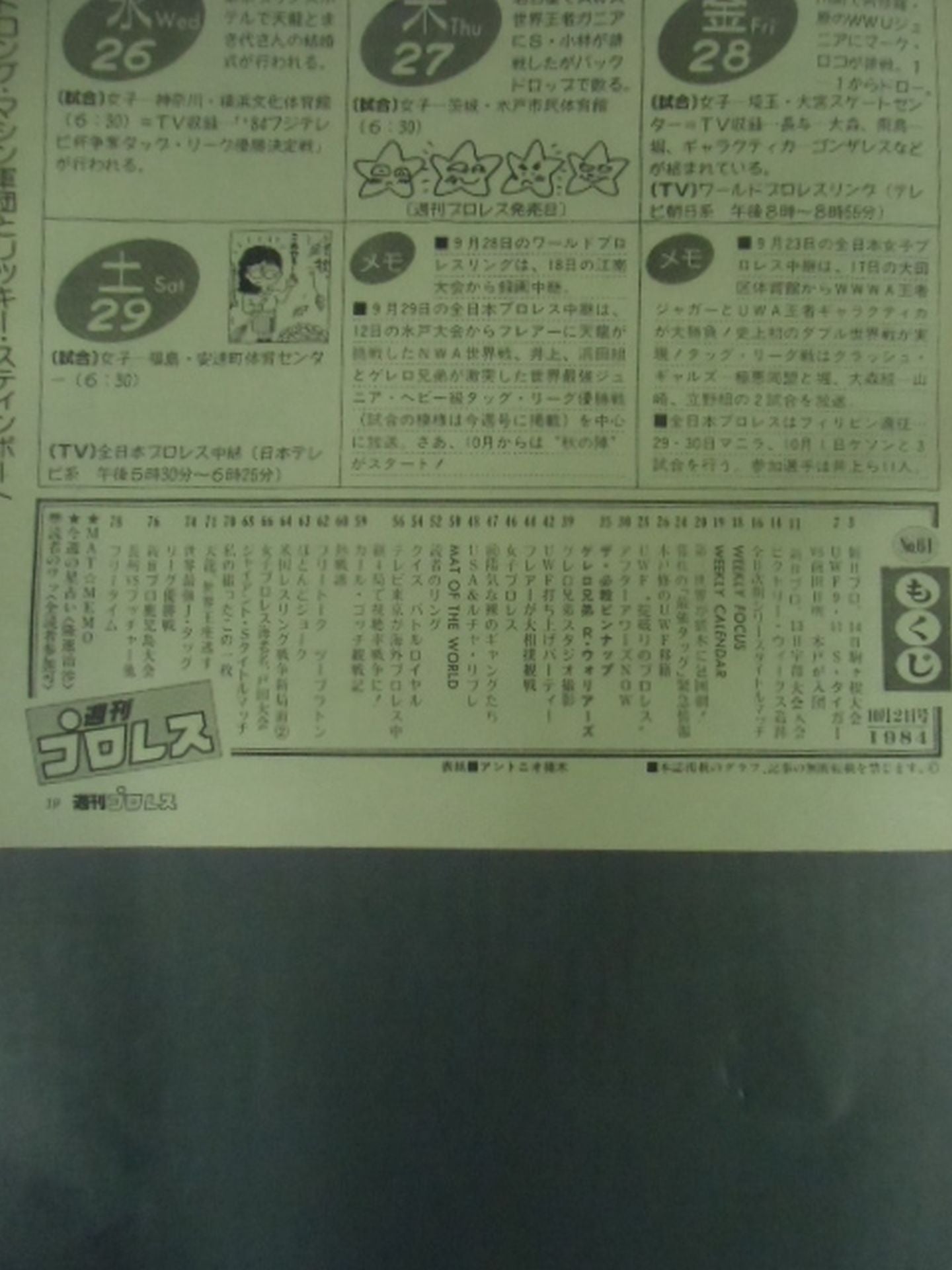 Weekly Pro Wrestling 61