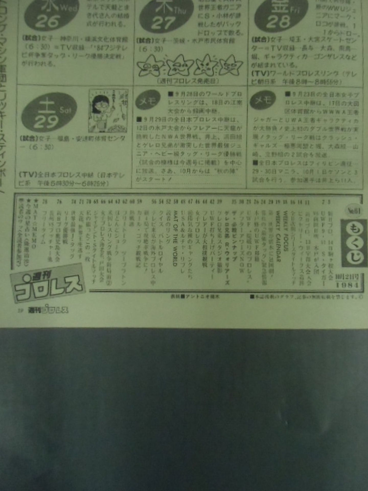 Weekly Pro Wrestling 61