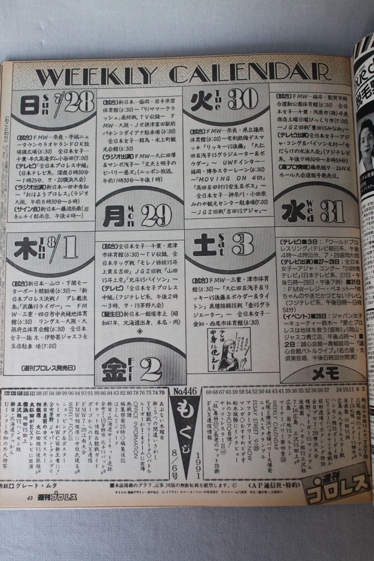 Weekly Pro Wrestling 446