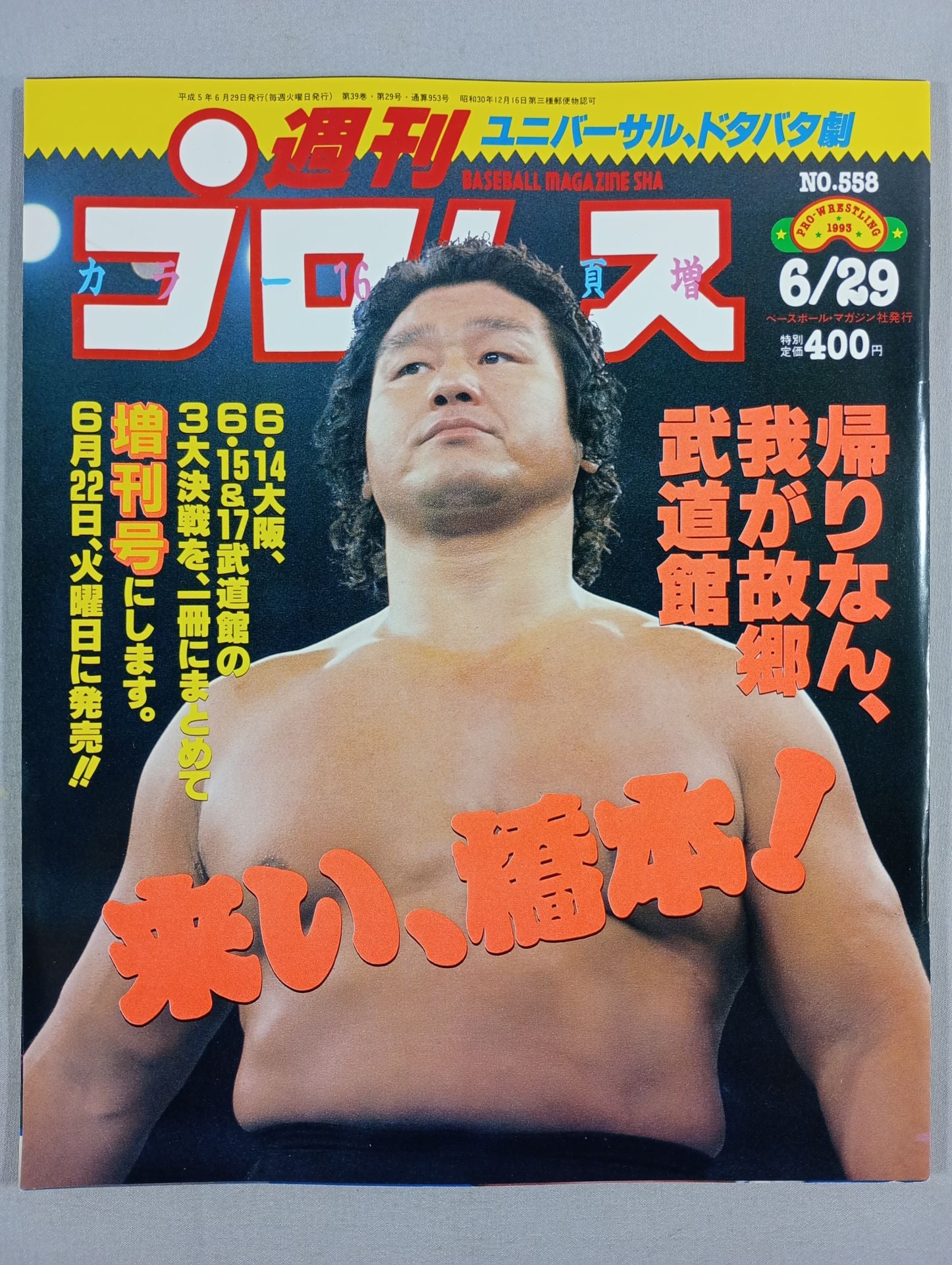 週刊プロレス558 – 闘道館