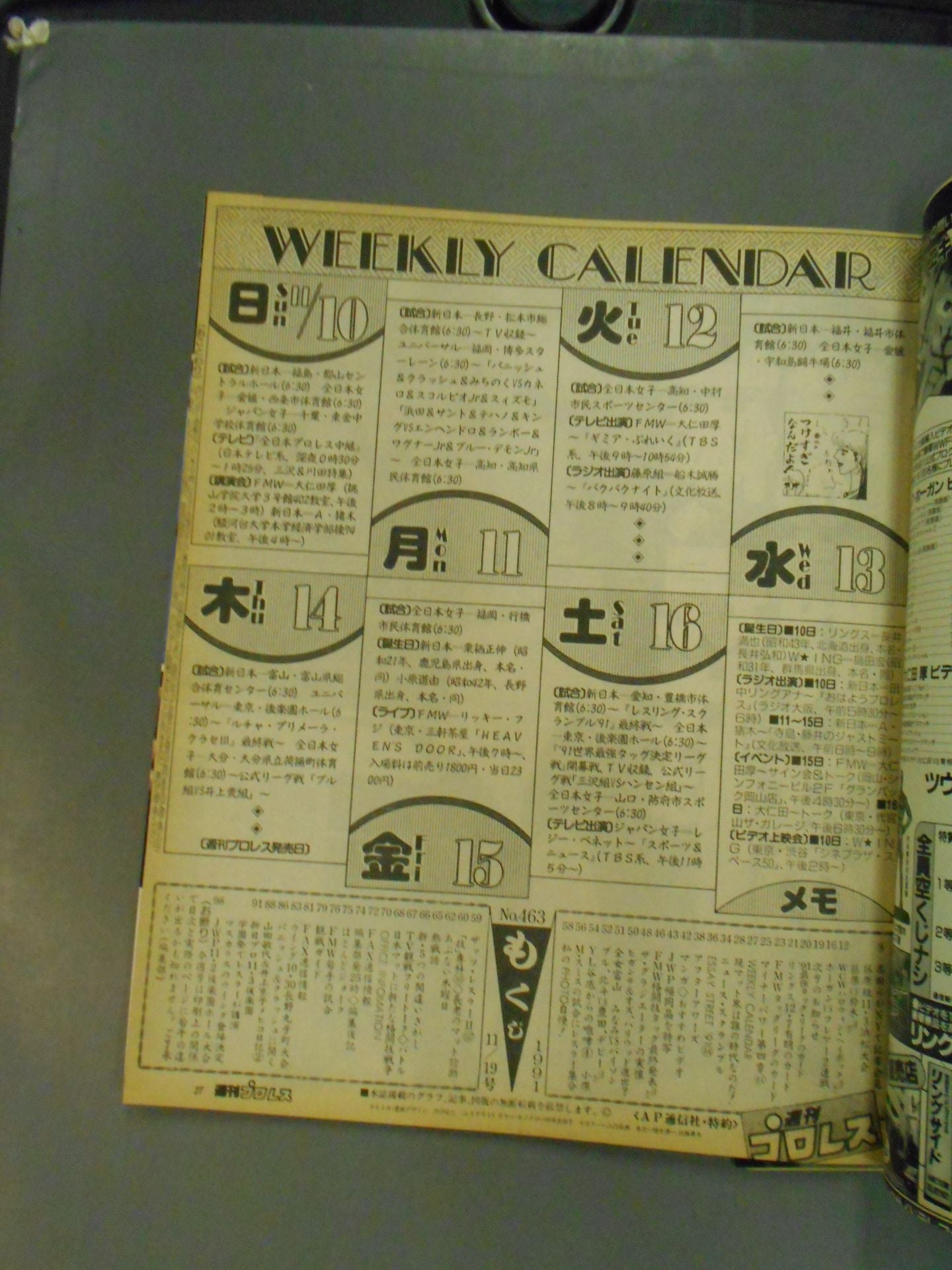 Weekly Pro Wrestling 463