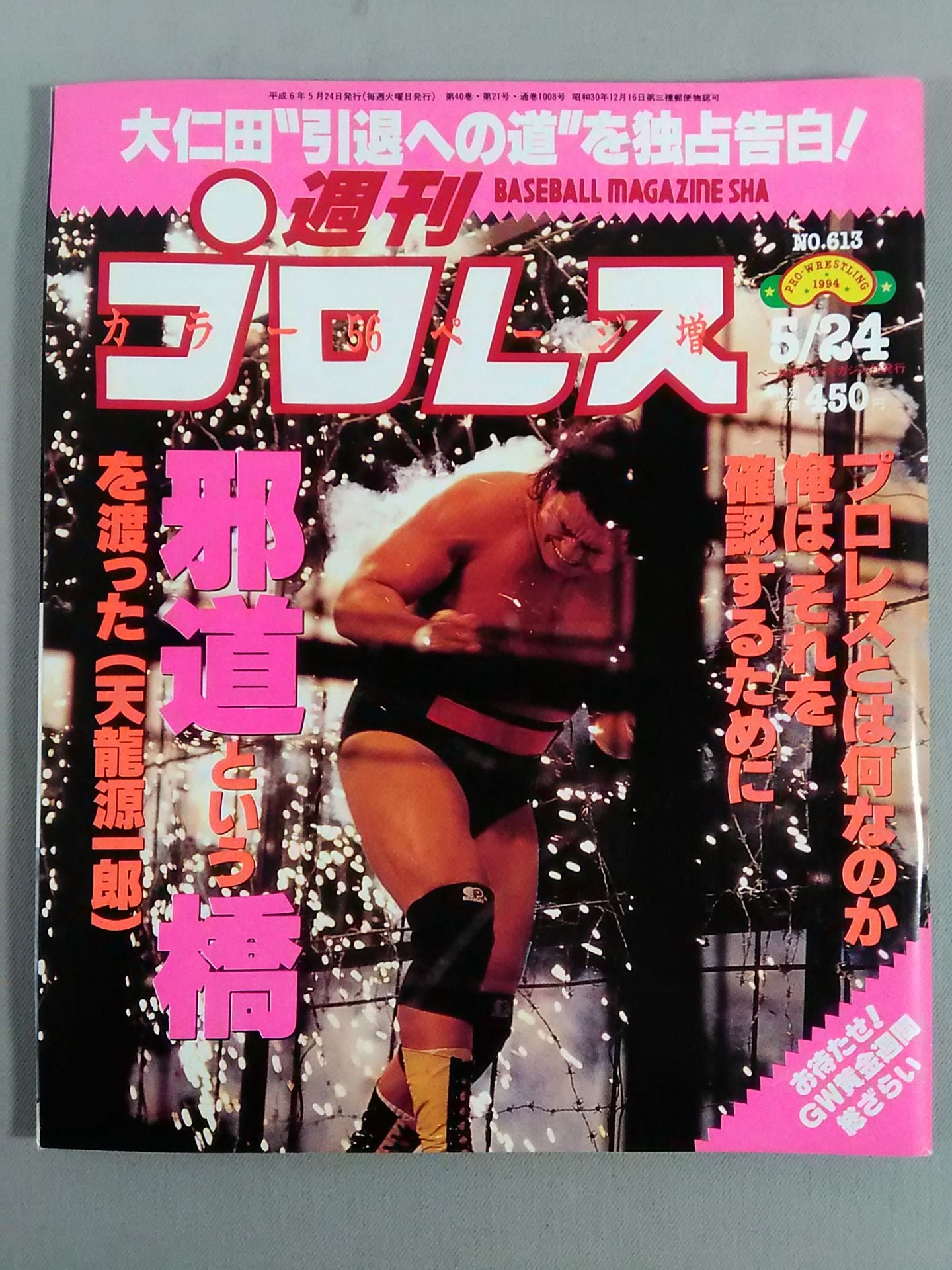 Weekly Pro Wrestling 613