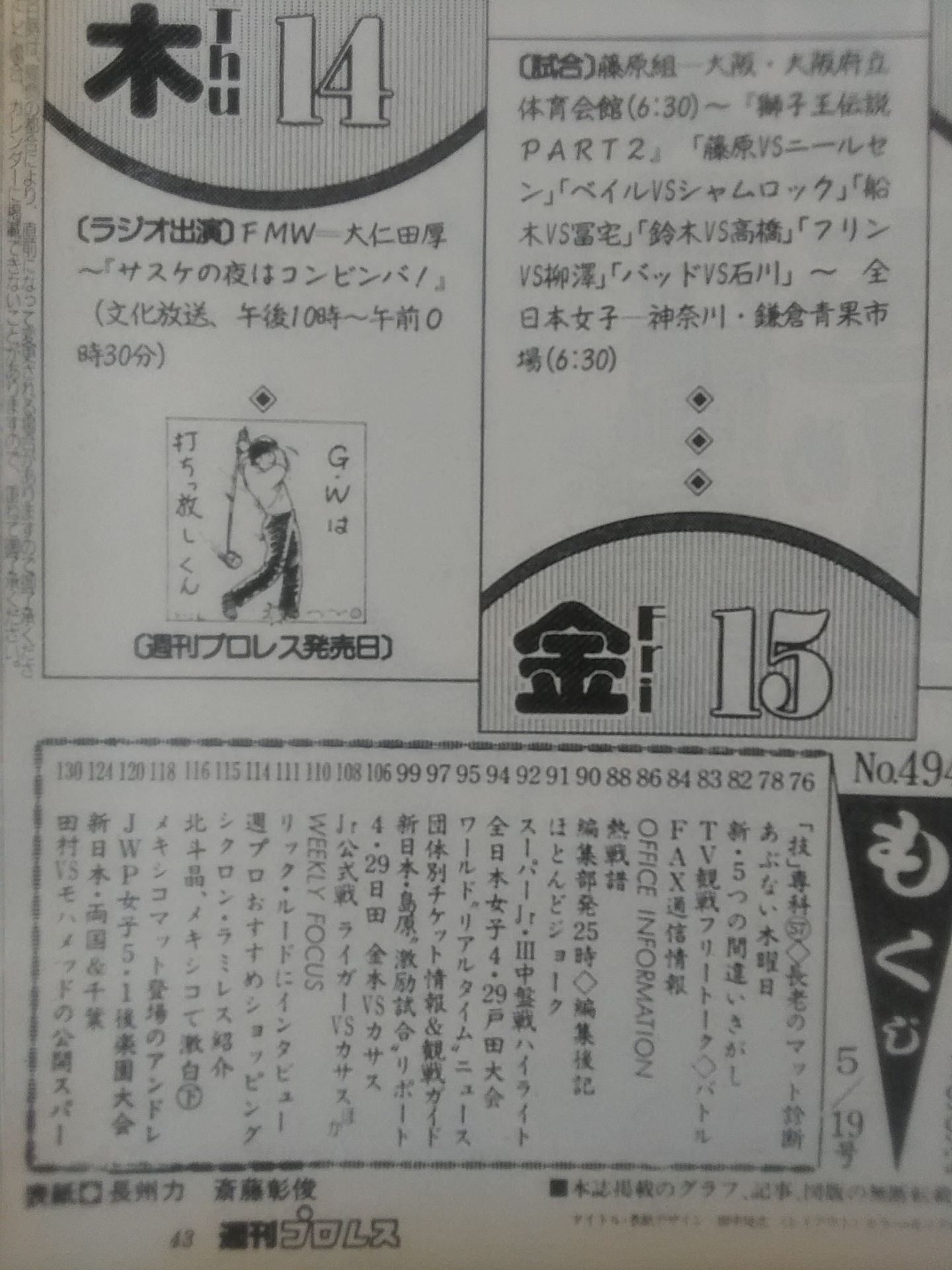 Weekly Pro Wrestling 494