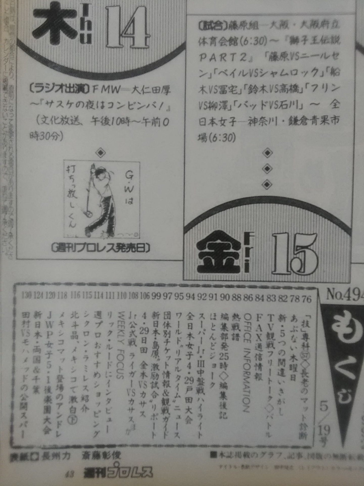 Weekly Pro Wrestling 494