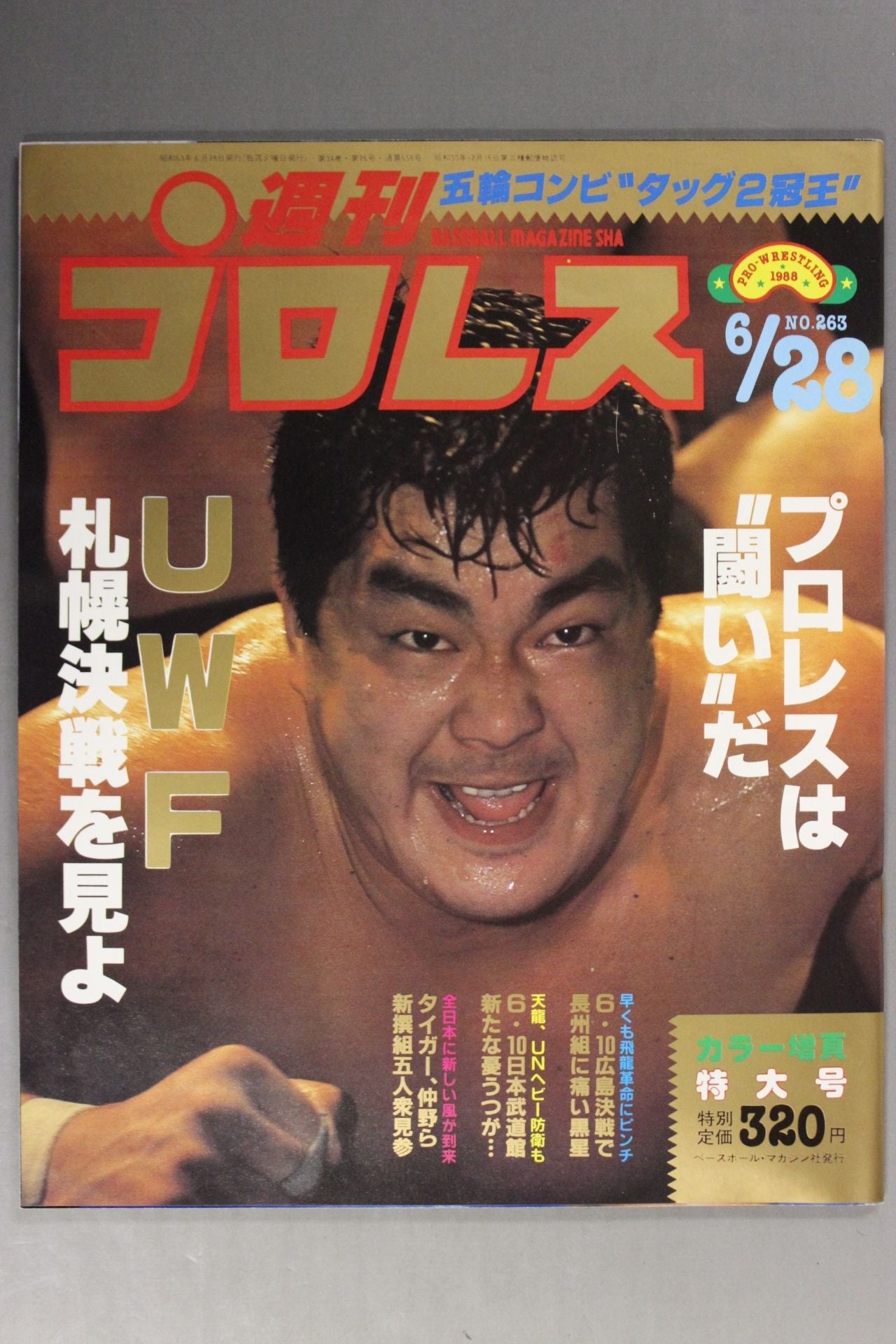 Weekly Pro Wrestling 263