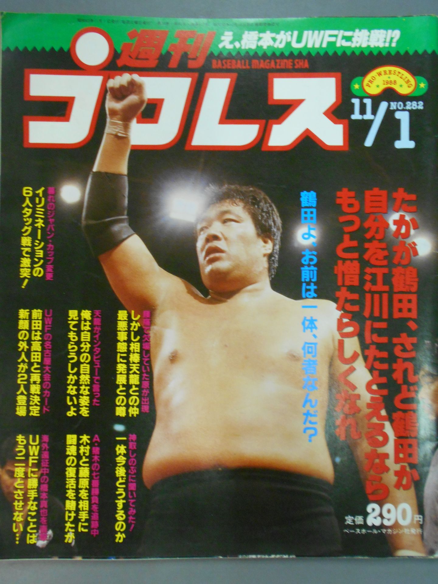Weekly Pro Wrestling 282