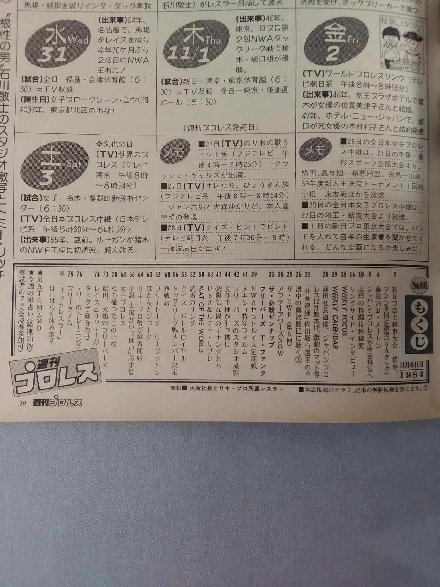 Weekly Pro Wrestling 66