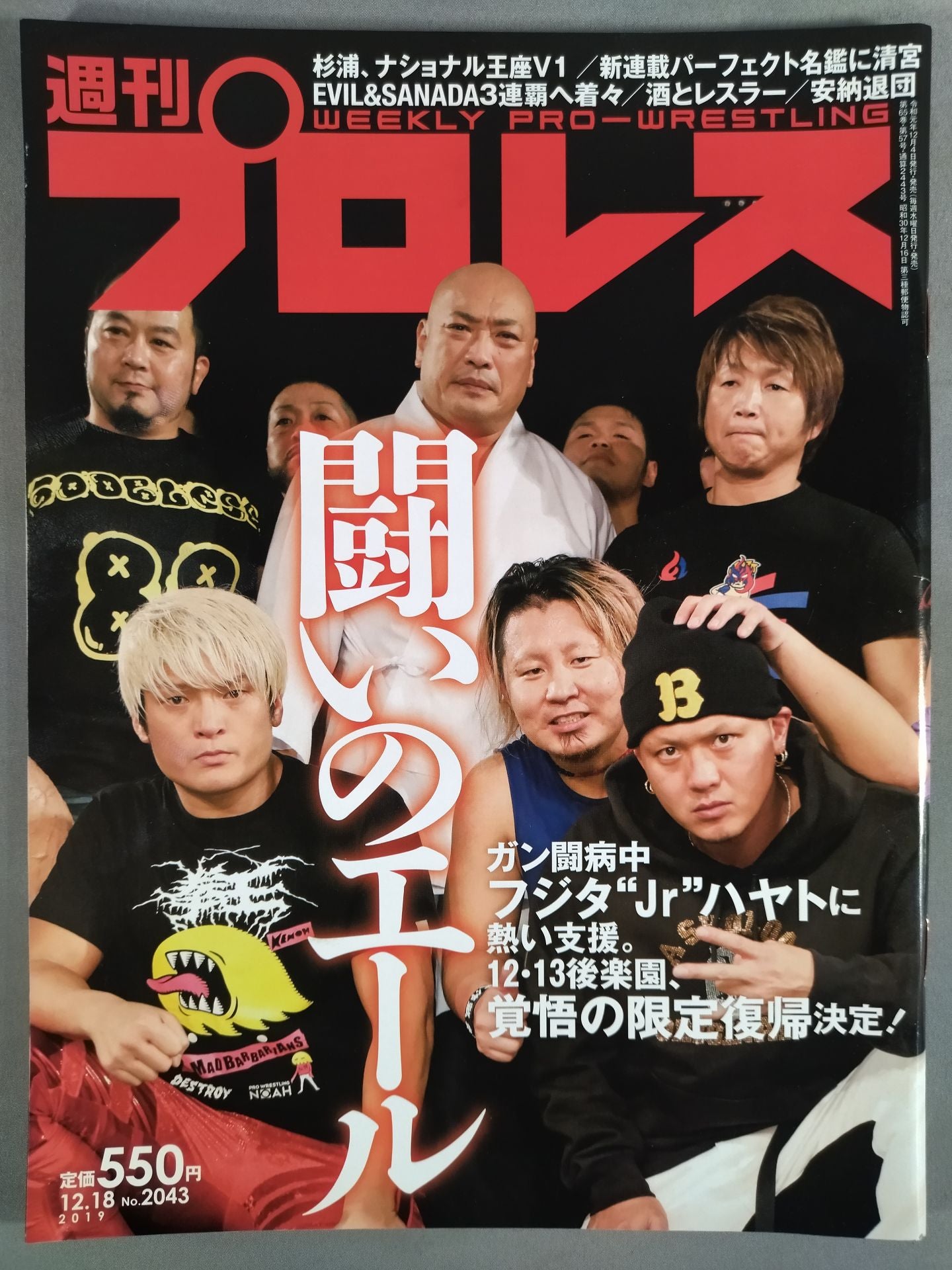 Weekly Pro Wrestling 2043