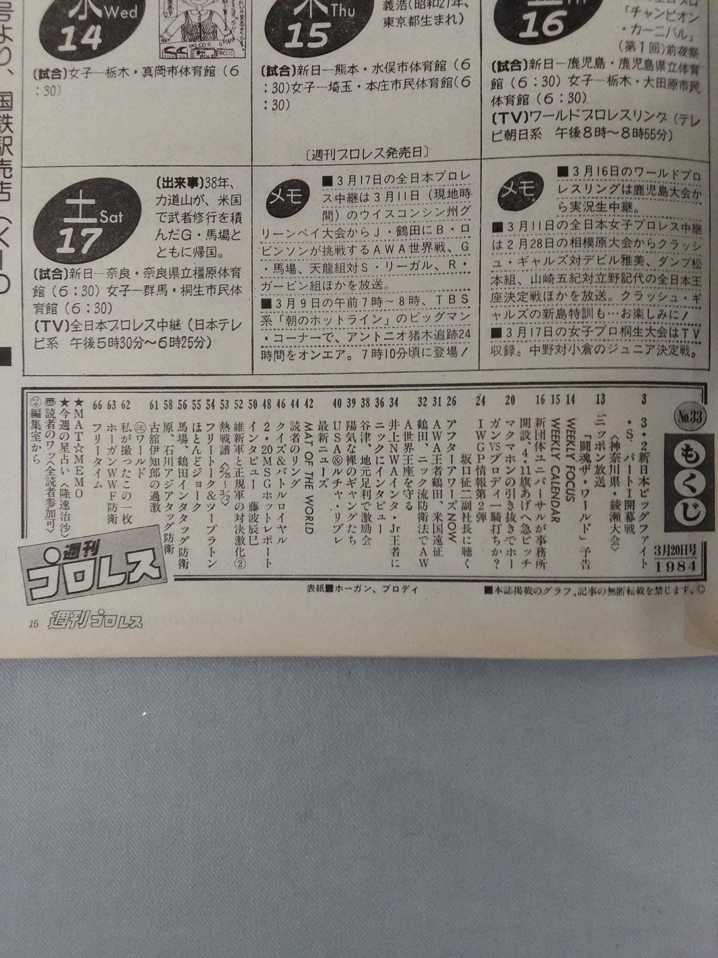 Weekly Pro Wrestling 33