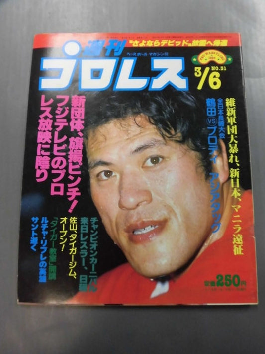 Weekly Pro Wrestling 31