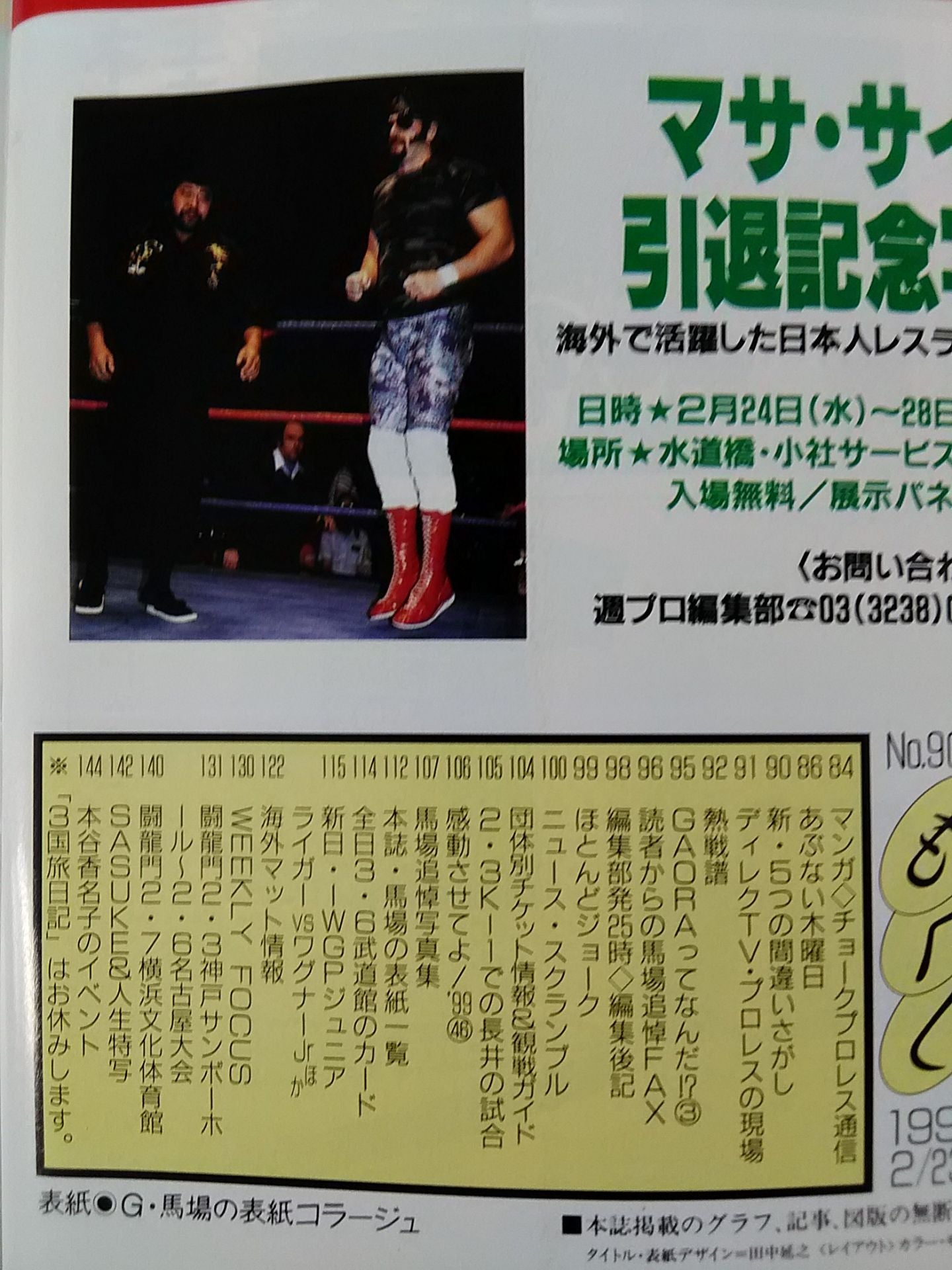 Weekly Pro Wrestling 900