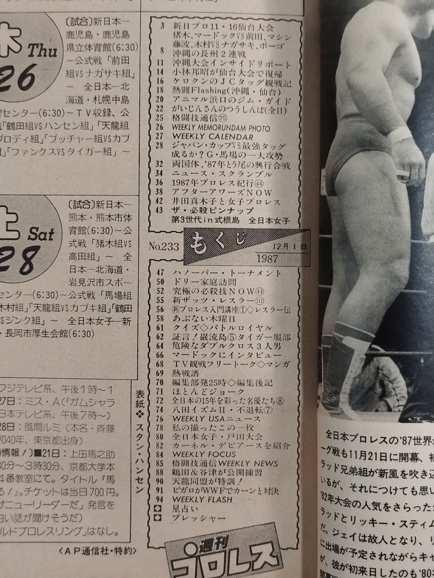Weekly Pro Wrestling 233