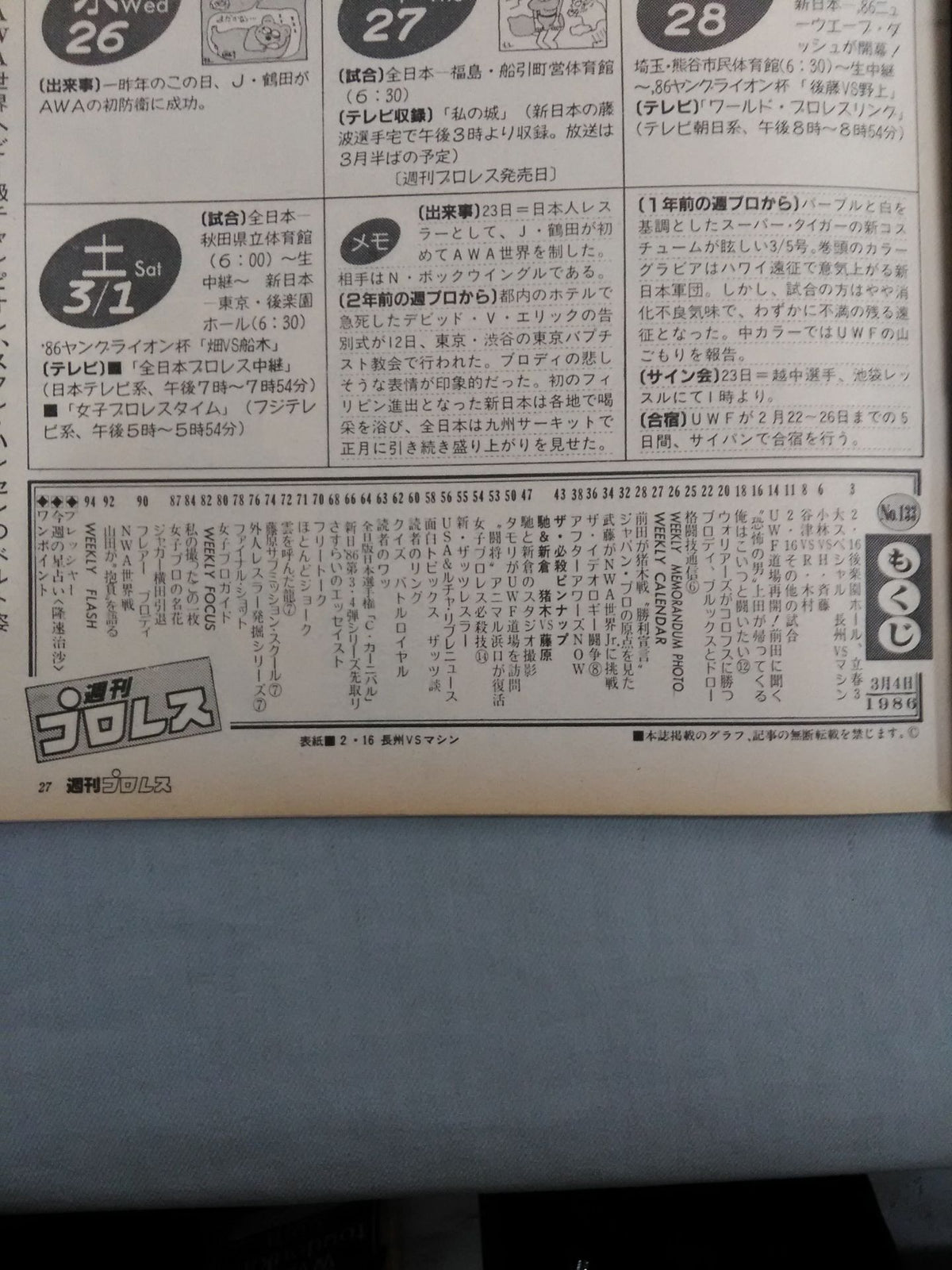 Weekly Pro Wrestling 133